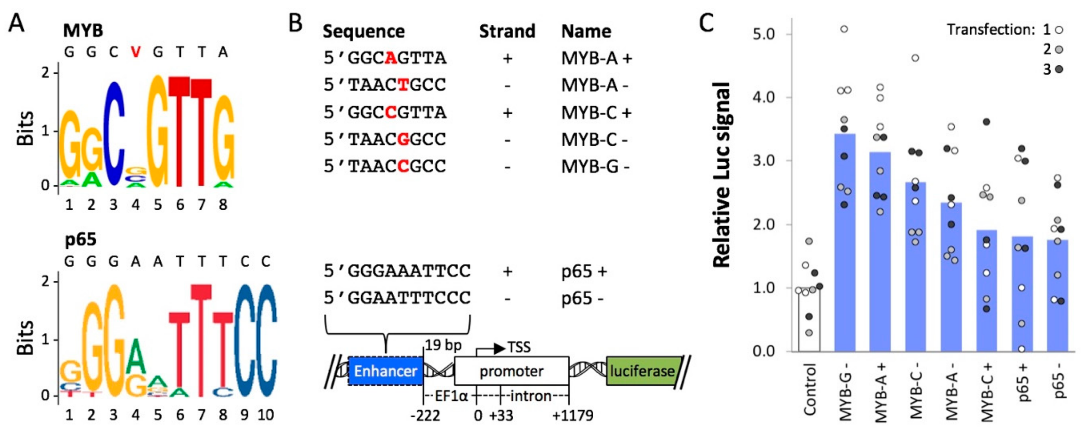 Ijms 21 00530 g001 Ijms 21 00530 g001