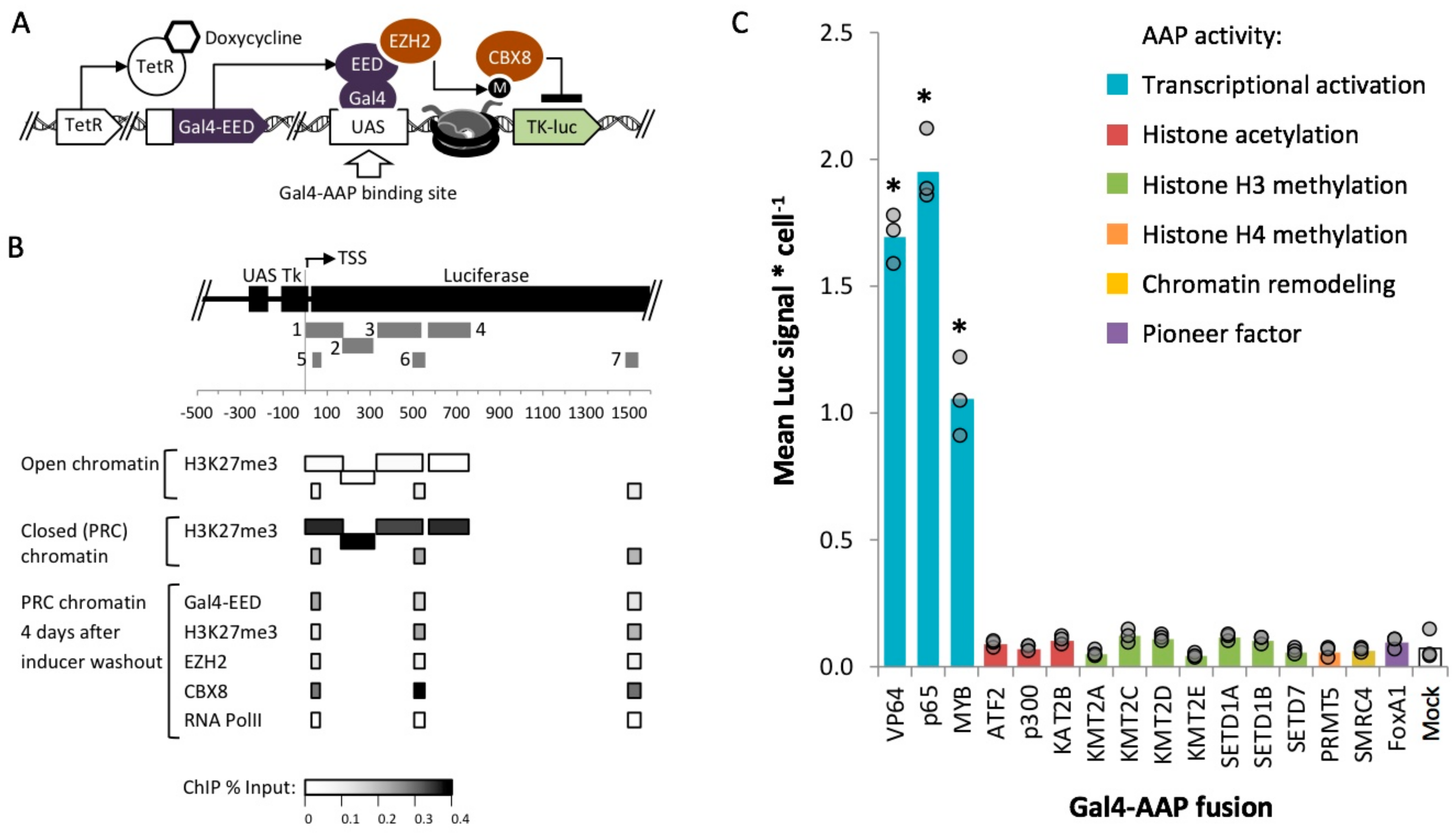 Ijms 21 00530 g002 Ijms 21 00530 g002