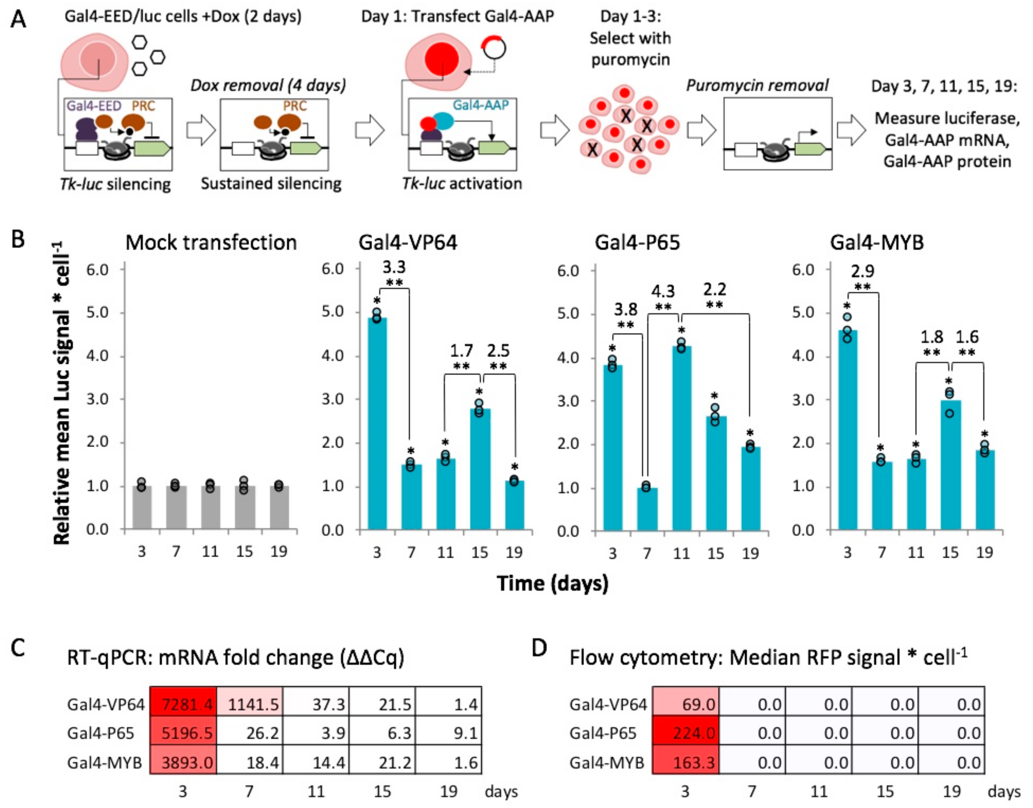 Ijms 21 00530 g003 Ijms 21 00530 g003