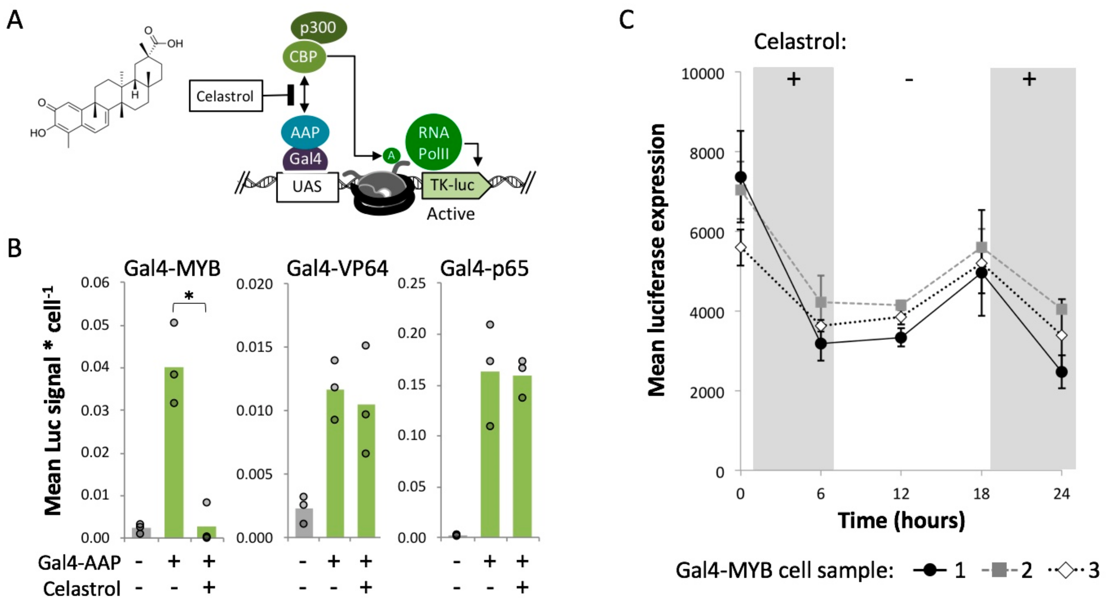 Ijms 21 00530 g004 Ijms 21 00530 g004