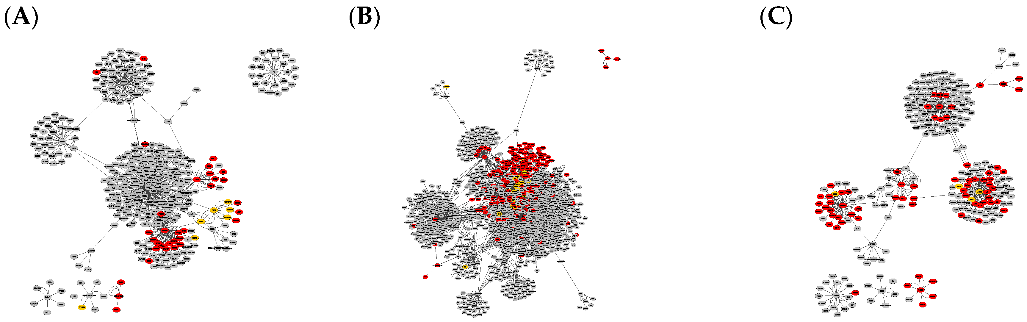 Ijms 21 00547 g001 Ijms 21 00547 g001