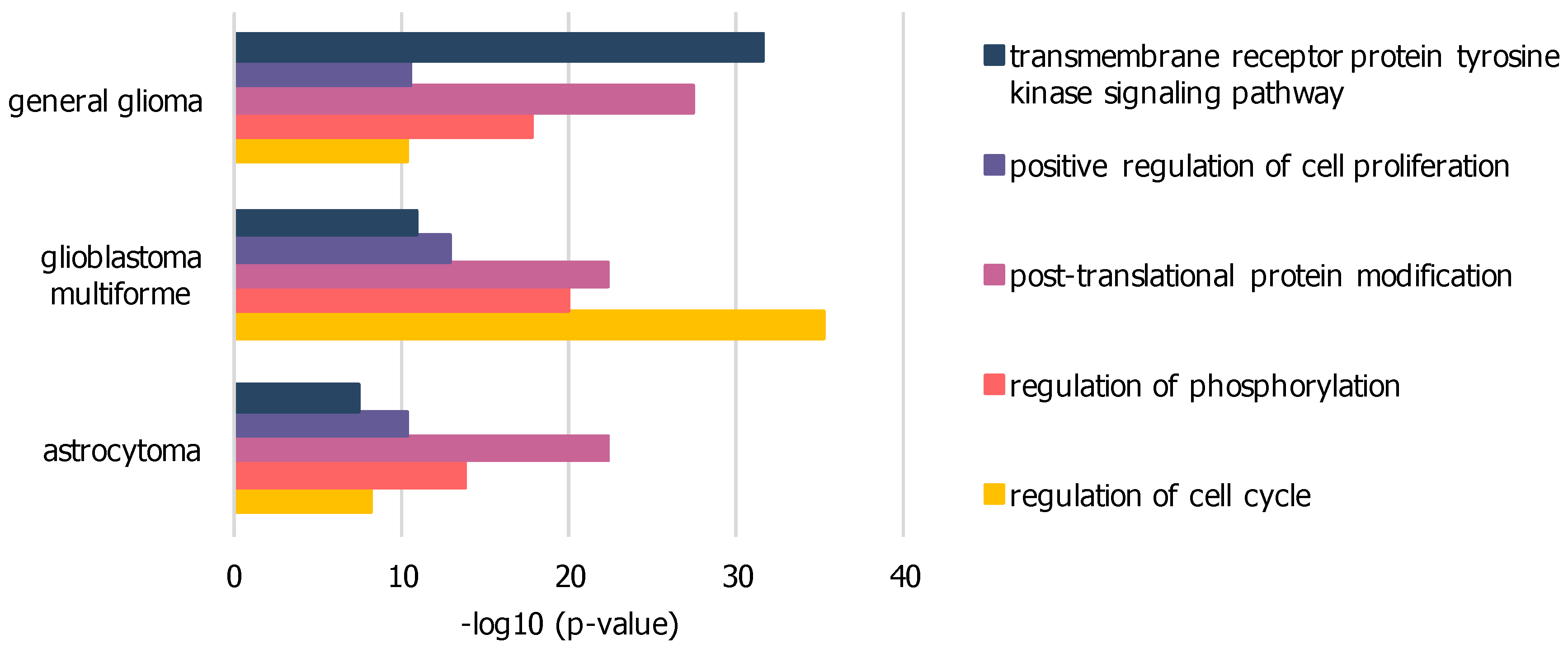 Ijms 21 00547 g003 Ijms 21 00547 g003