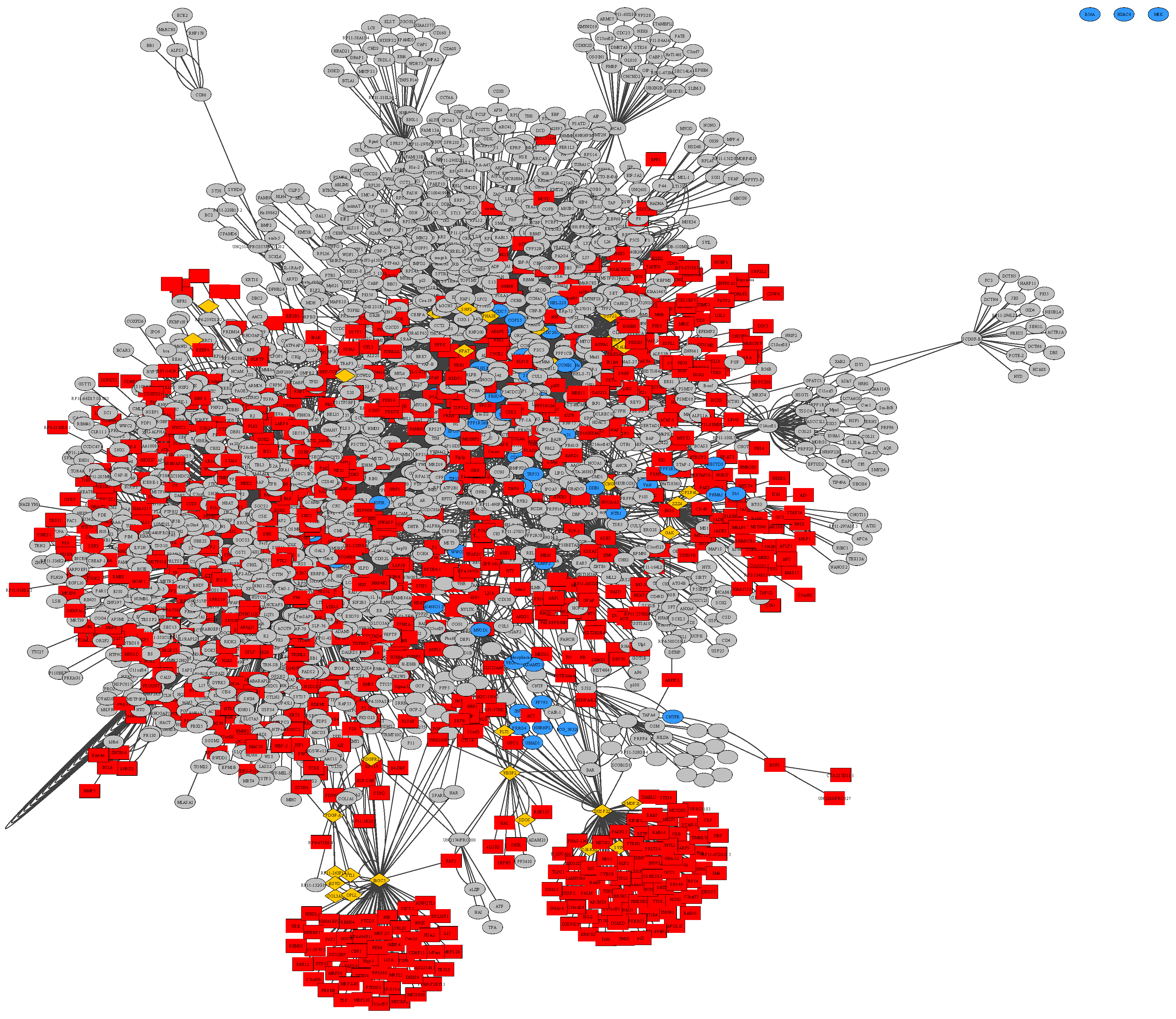 Ijms 21 00547 g004 Ijms 21 00547 g004