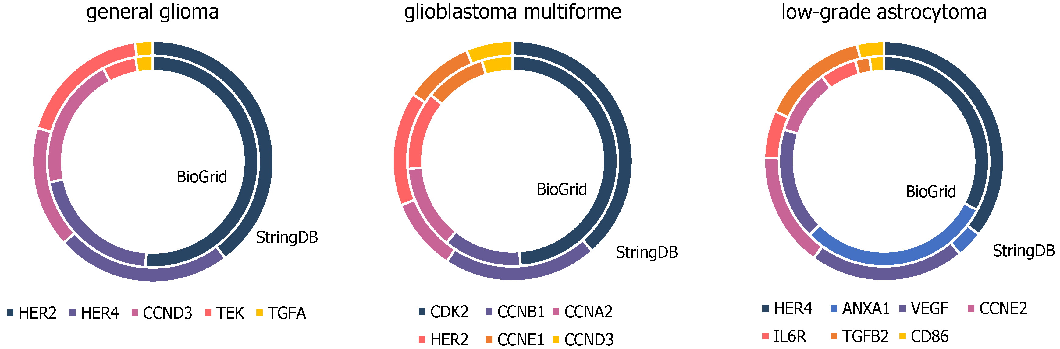 Ijms 21 00547 g005 Ijms 21 00547 g005
