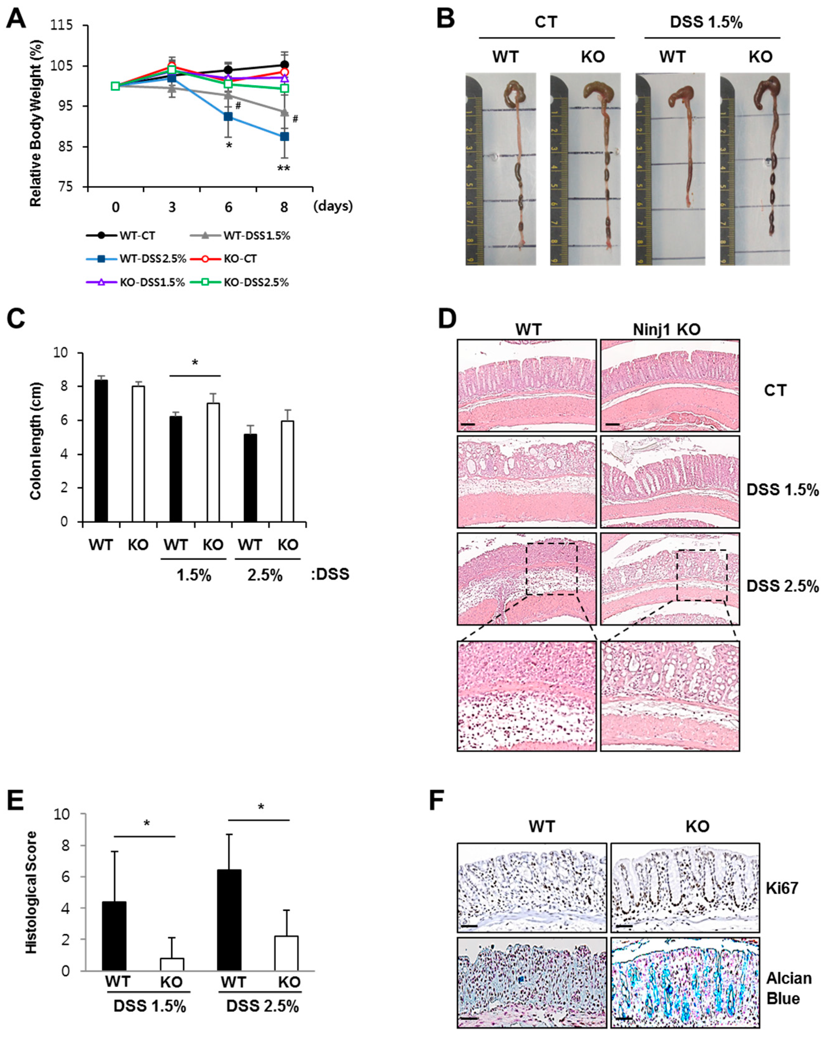 Ijms 21 00614 g002 Ijms 21 00614 g002