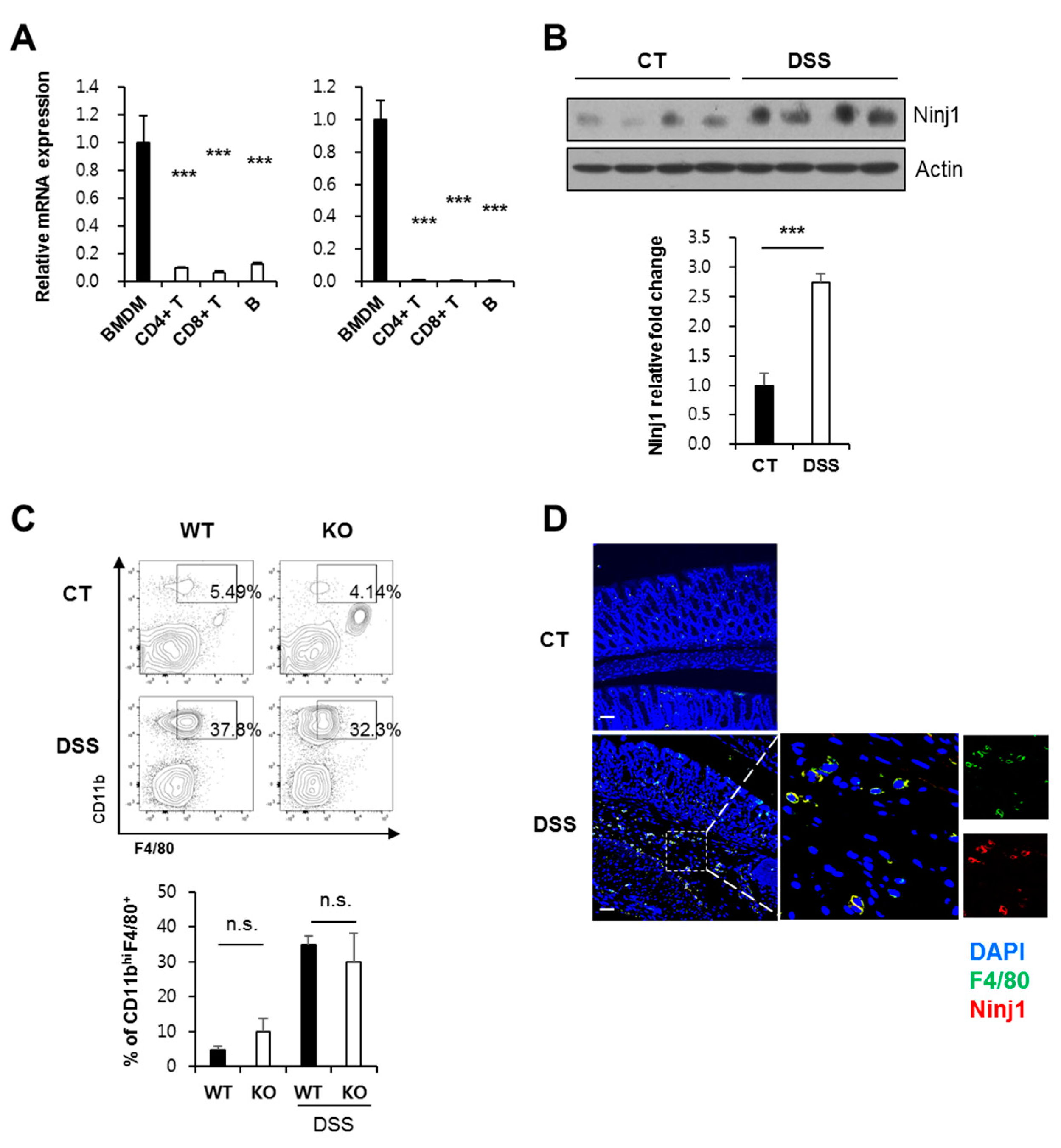 Ijms 21 00614 g003 Ijms 21 00614 g003