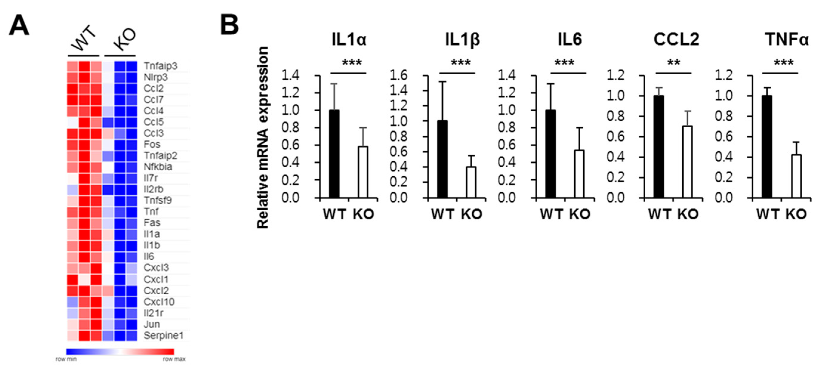 Ijms 21 00614 g004 Ijms 21 00614 g004