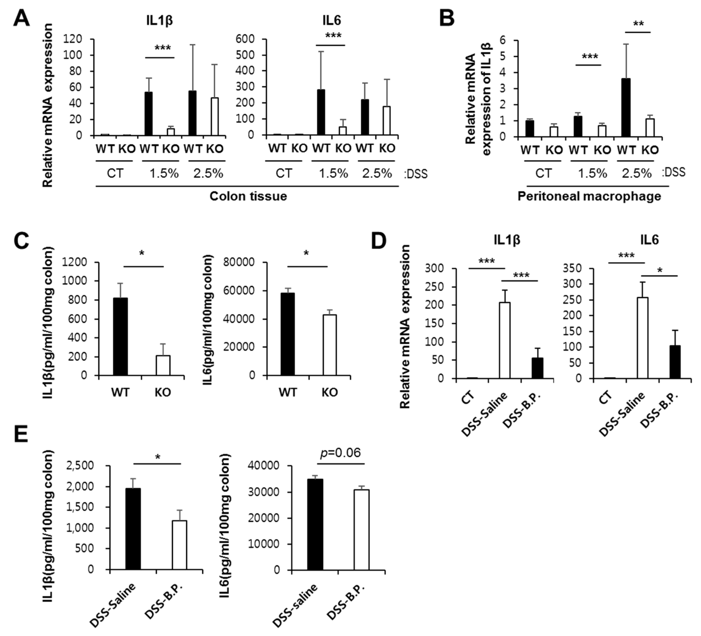 Ijms 21 00614 g005 Ijms 21 00614 g005