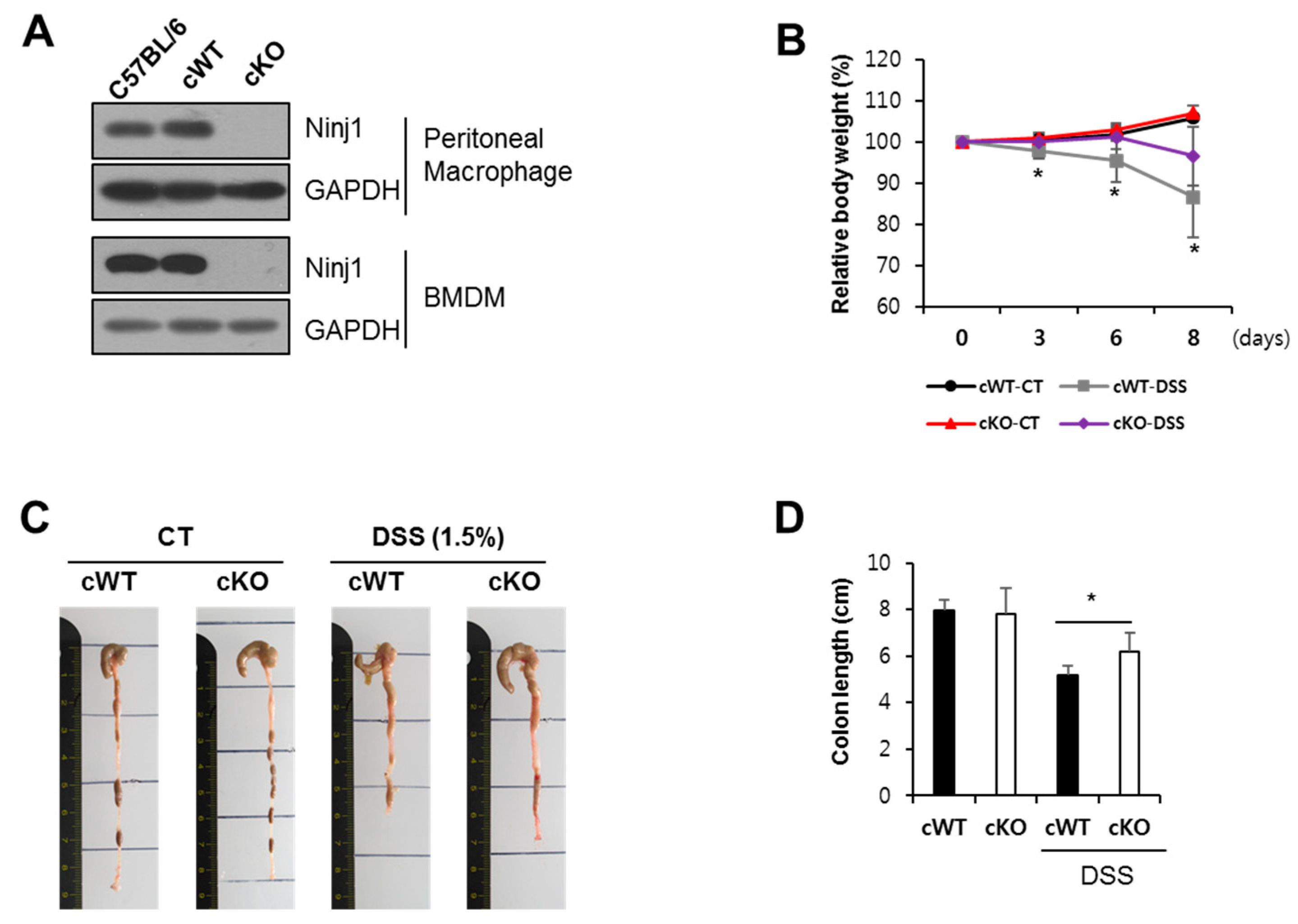 Ijms 21 00614 g006 Ijms 21 00614 g006
