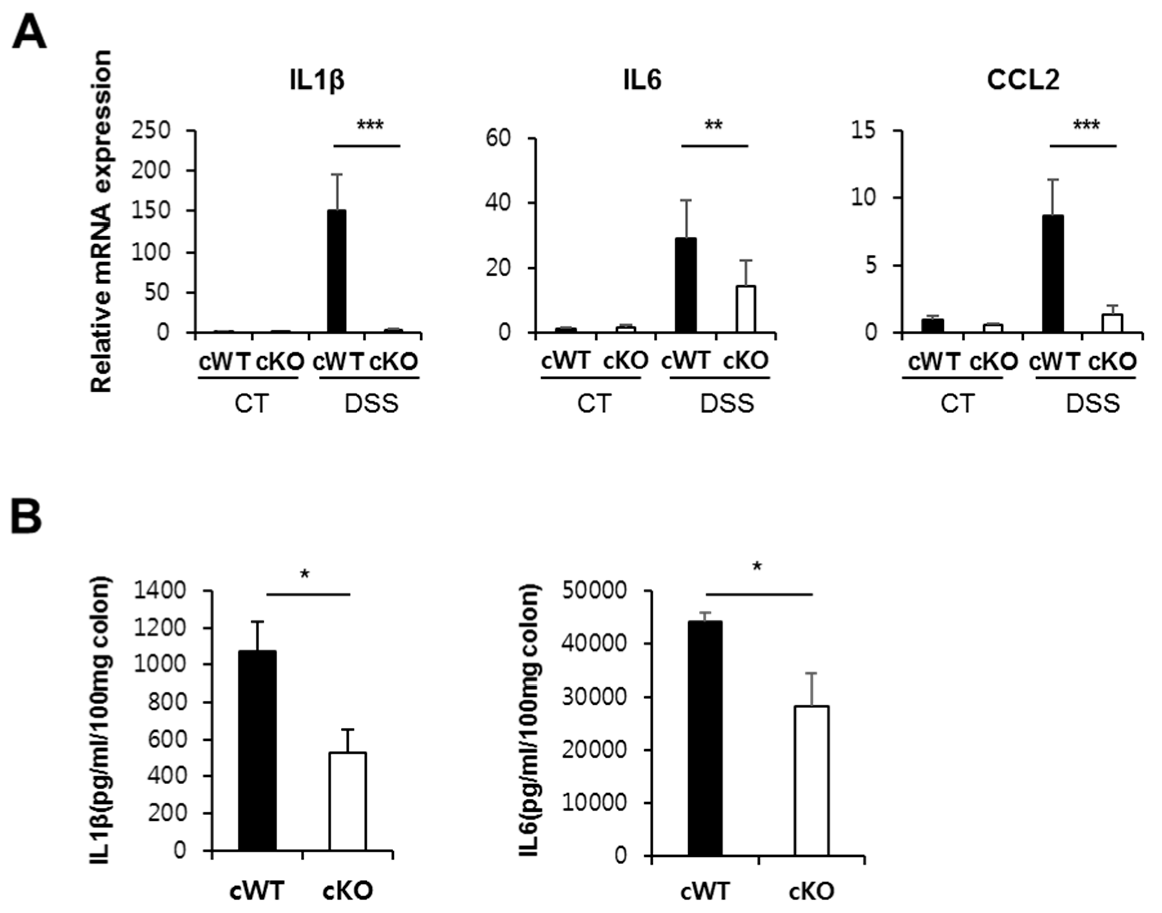 Ijms 21 00614 g007 Ijms 21 00614 g007