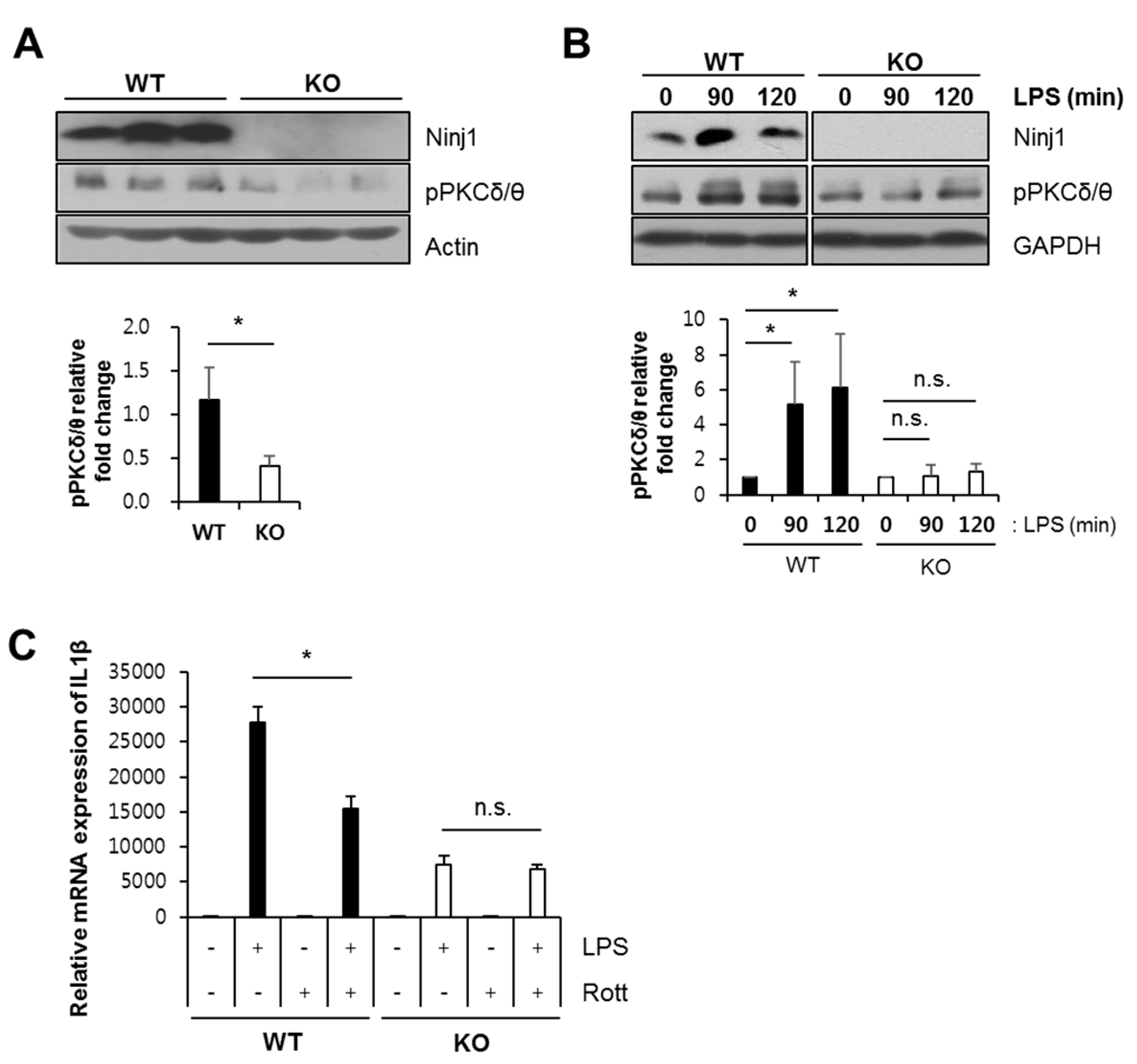 Ijms 21 00614 g008 Ijms 21 00614 g008