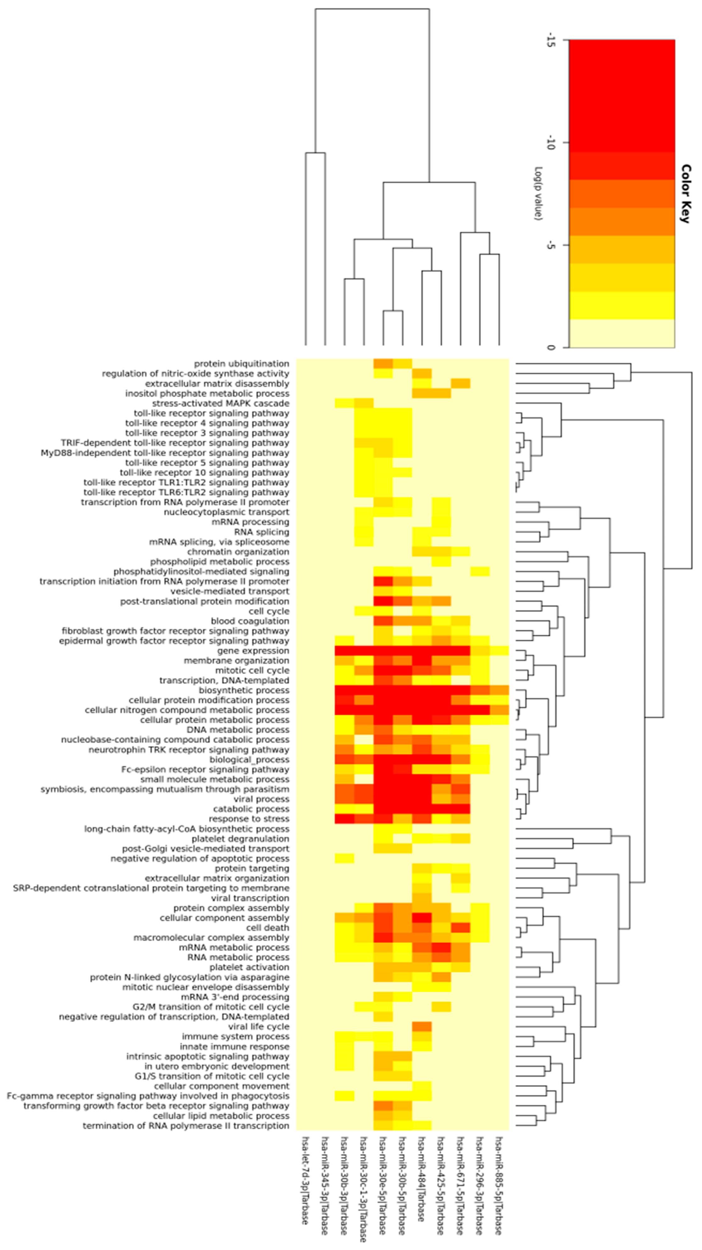 Ijms 21 00687 g001 Ijms 21 00687 g001