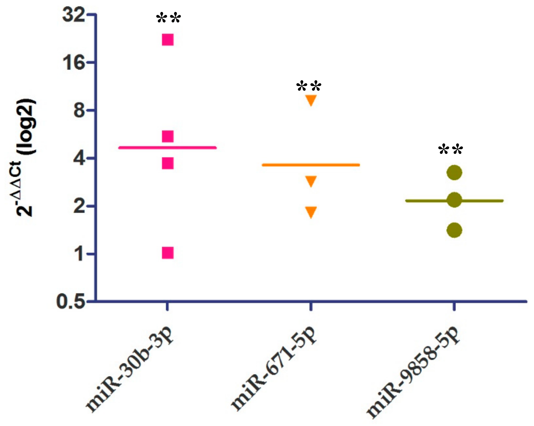 Ijms 21 00687 g004 Ijms 21 00687 g004
