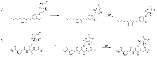 Ijms 21 00695 sch0a3