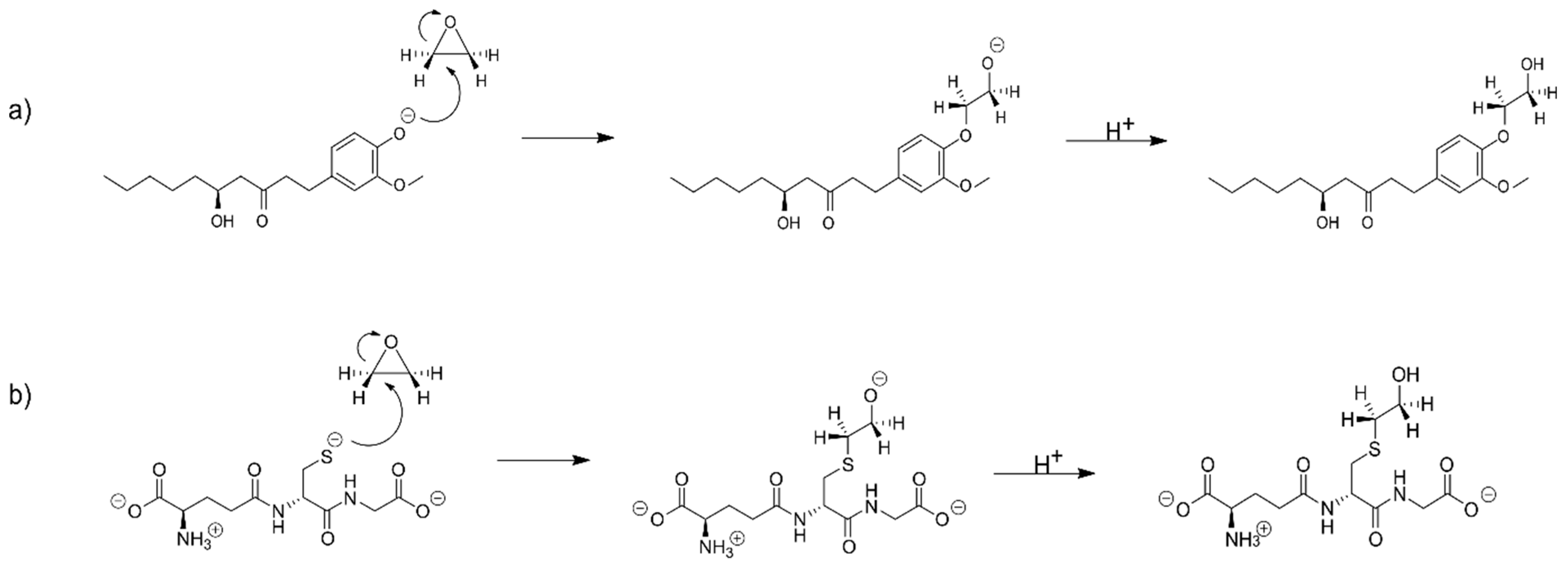 Ijms 21 00695 sch0a6