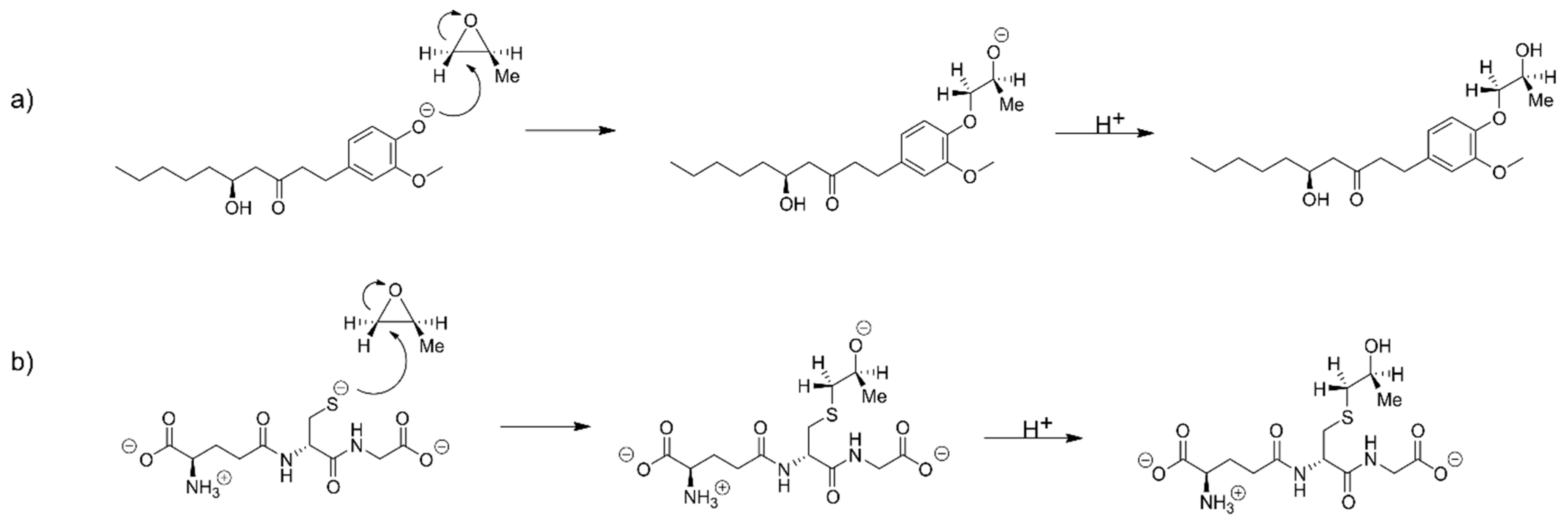 Ijms 21 00695 sch0a7
