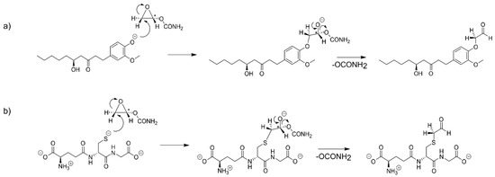 Ijms 21 00695 sch0a9
