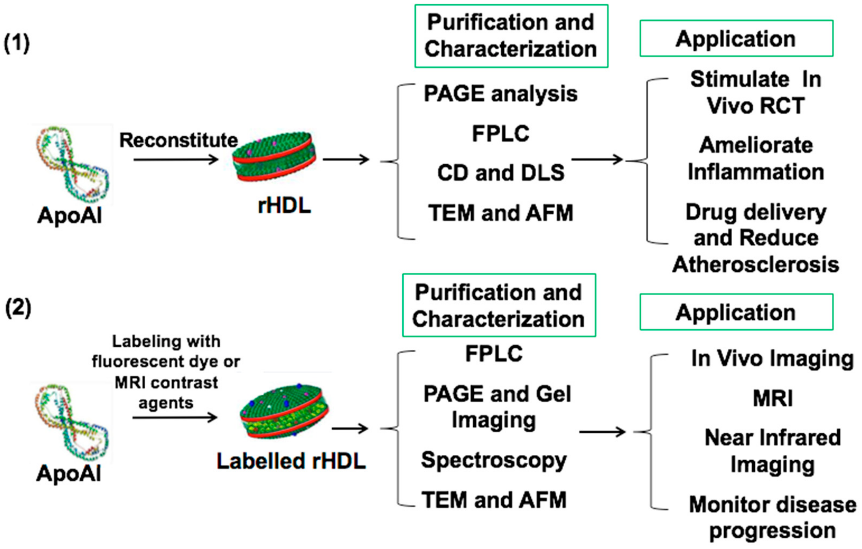 Ijms 21 00739 g002 Ijms 21 00739 g002
