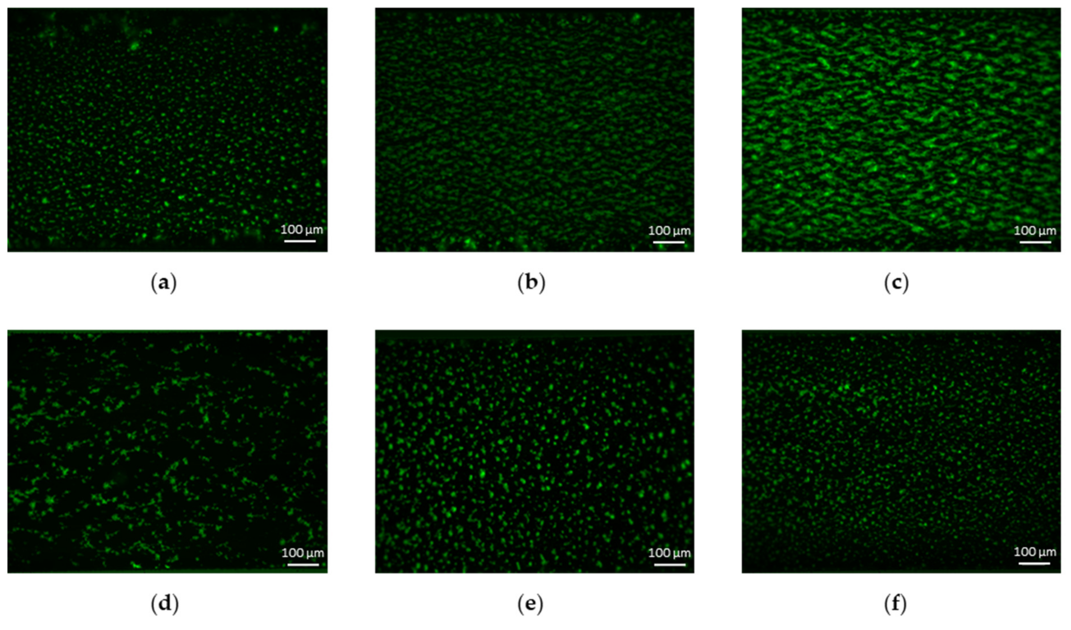 Ijms 21 00750 g002 Ijms 21 00750 g002