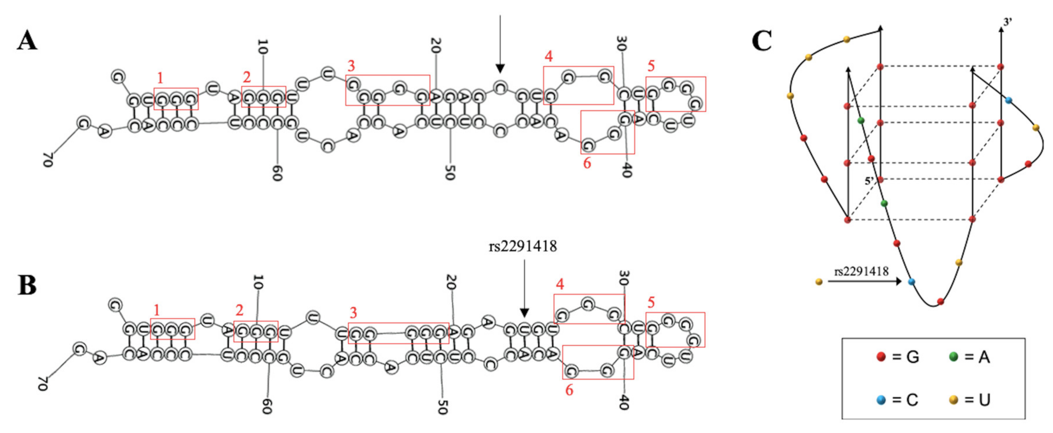Ijms 21 00767 g001 Ijms 21 00767 g001
