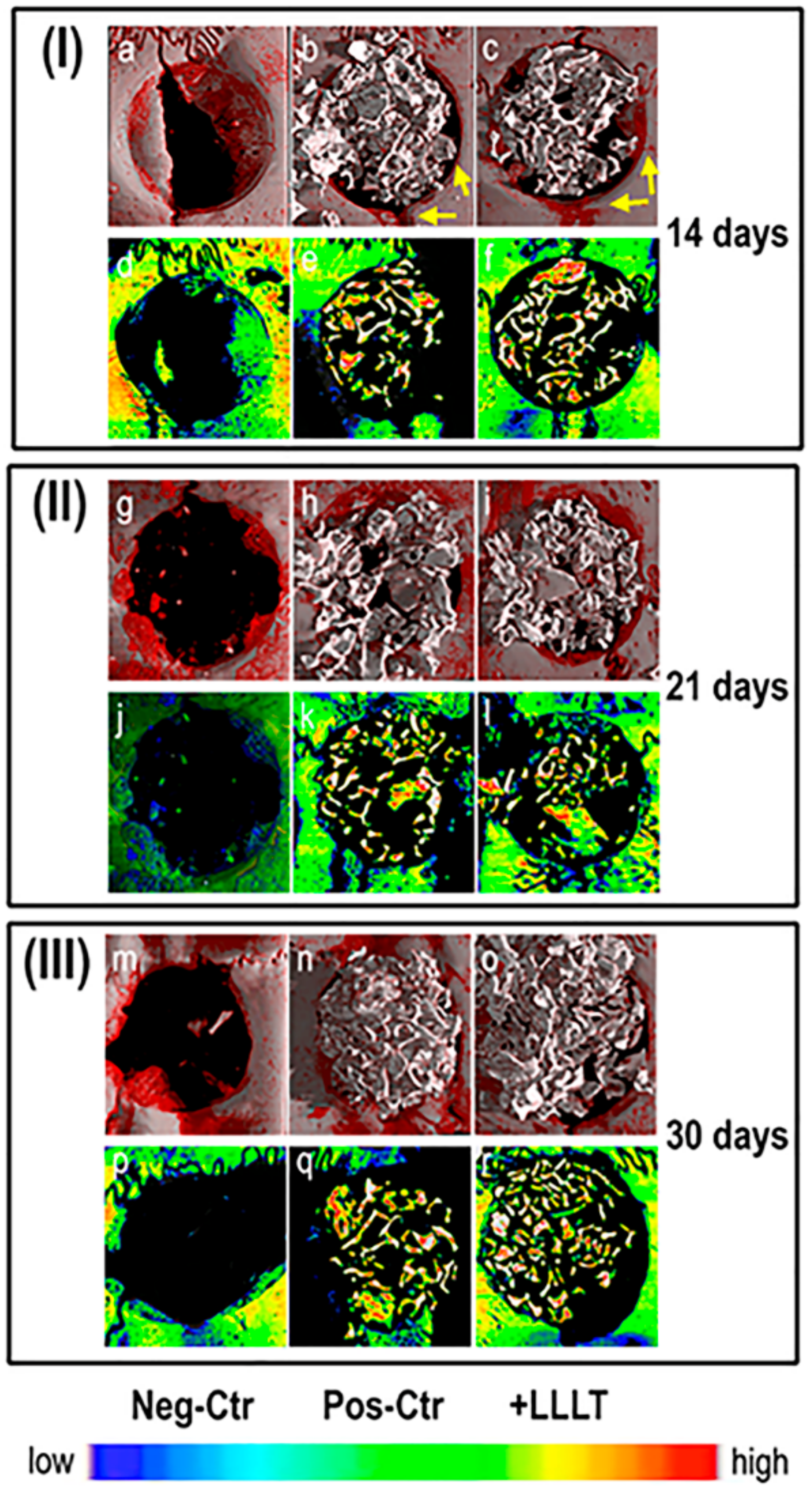 Ijms 21 00778 g001 Ijms 21 00778 g001