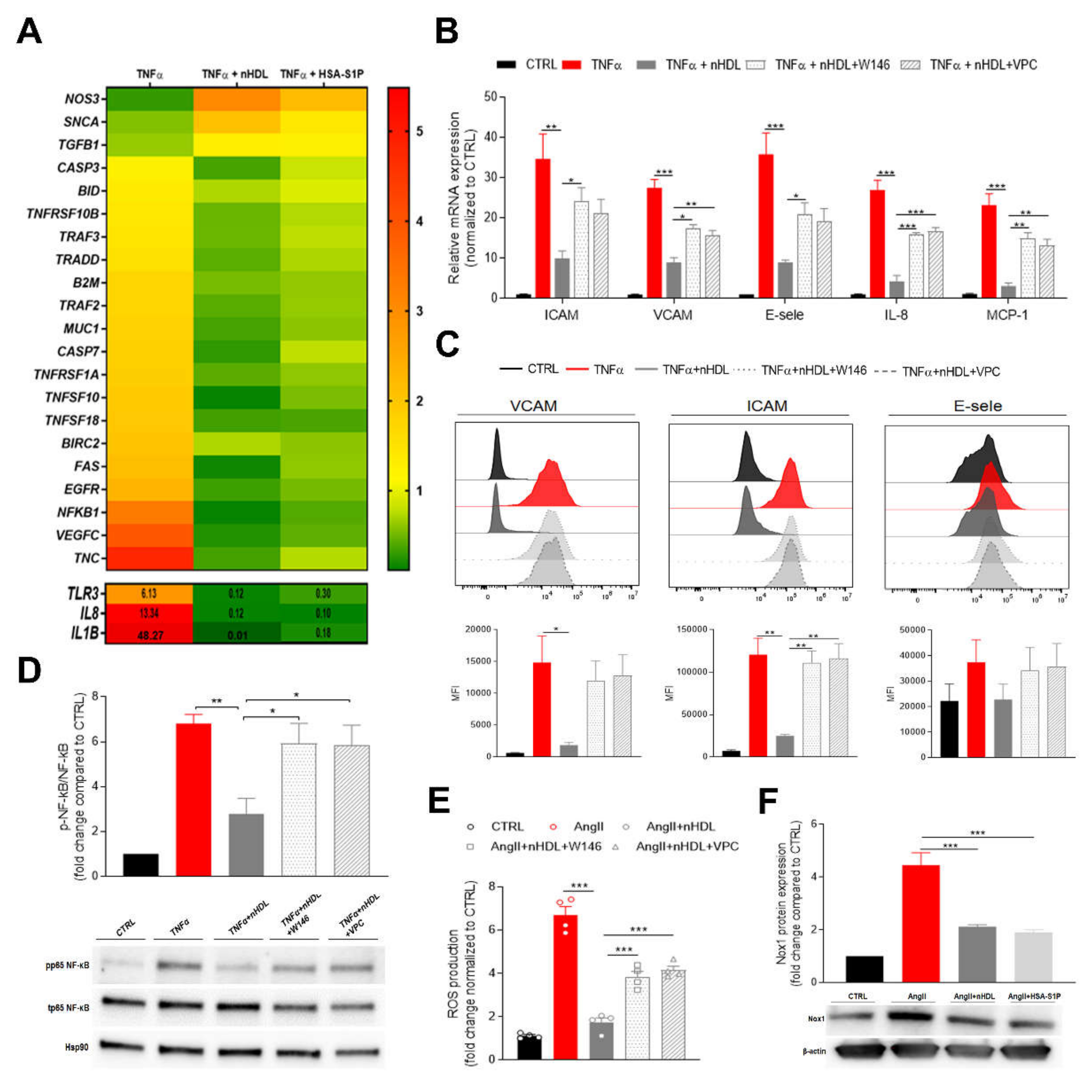 Ijms 21 00789 g001 Ijms 21 00789 g001
