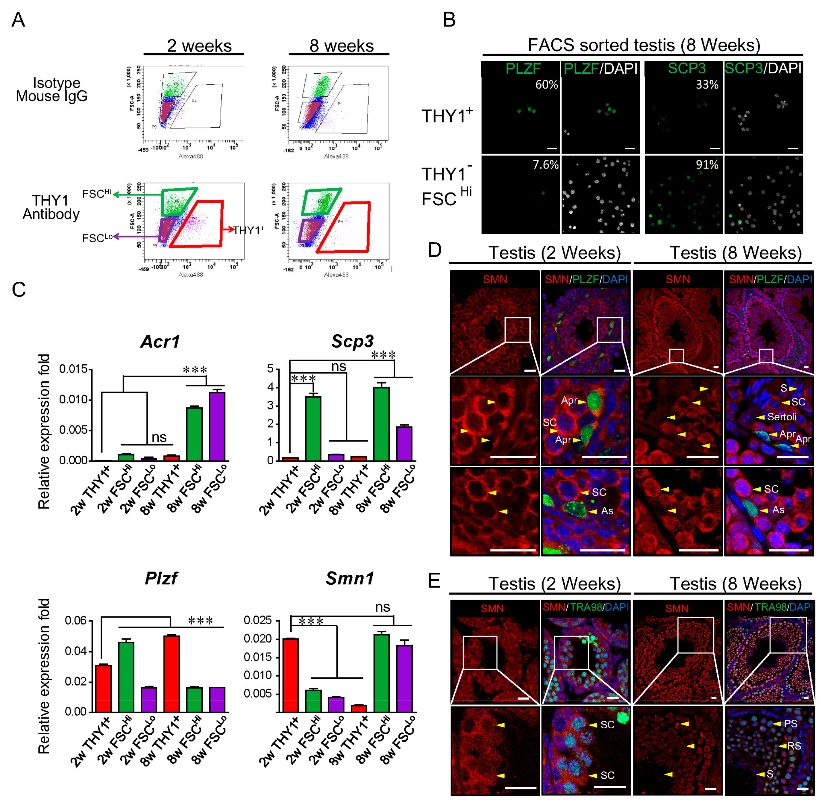 Ijms 21 00794 g001 Ijms 21 00794 g001