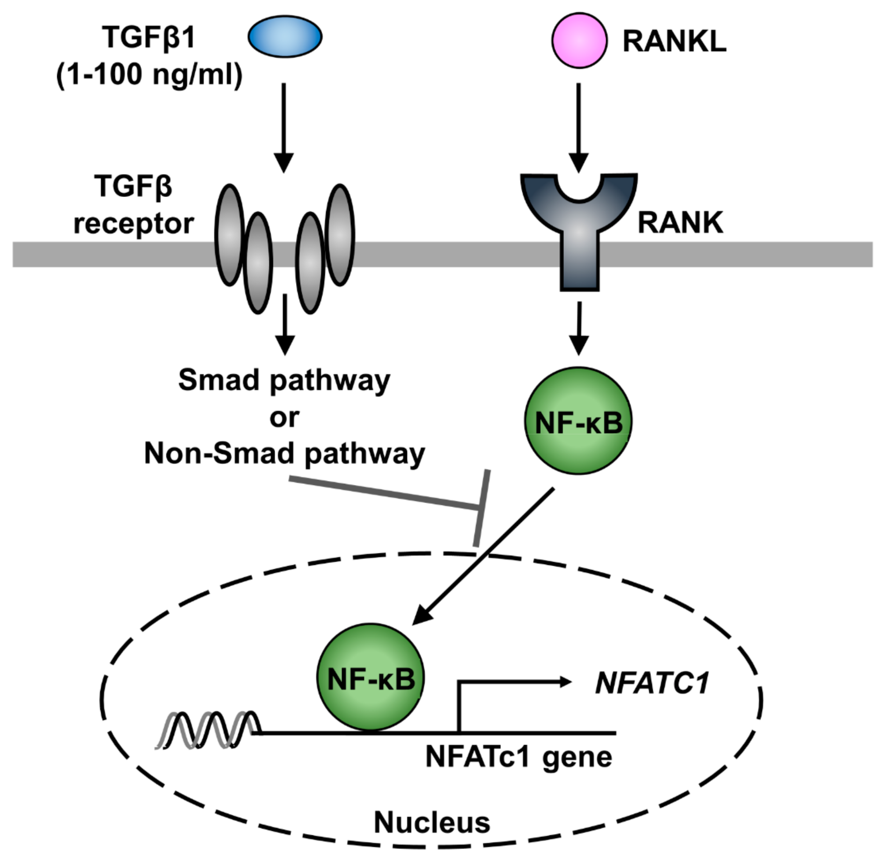 Ijms 21 00800 sch001