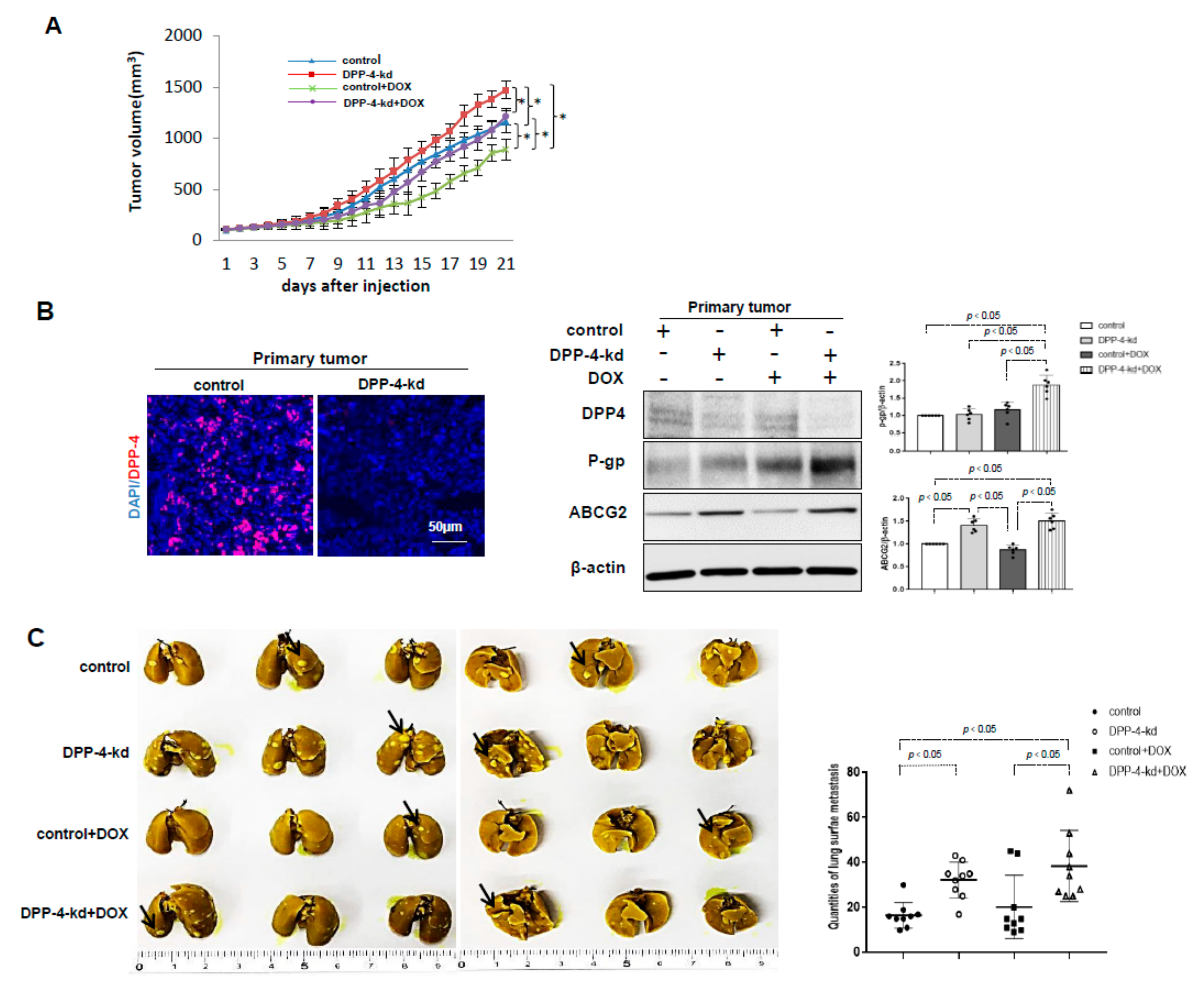 Ijms 21 00805 g005 Ijms 21 00805 g005
