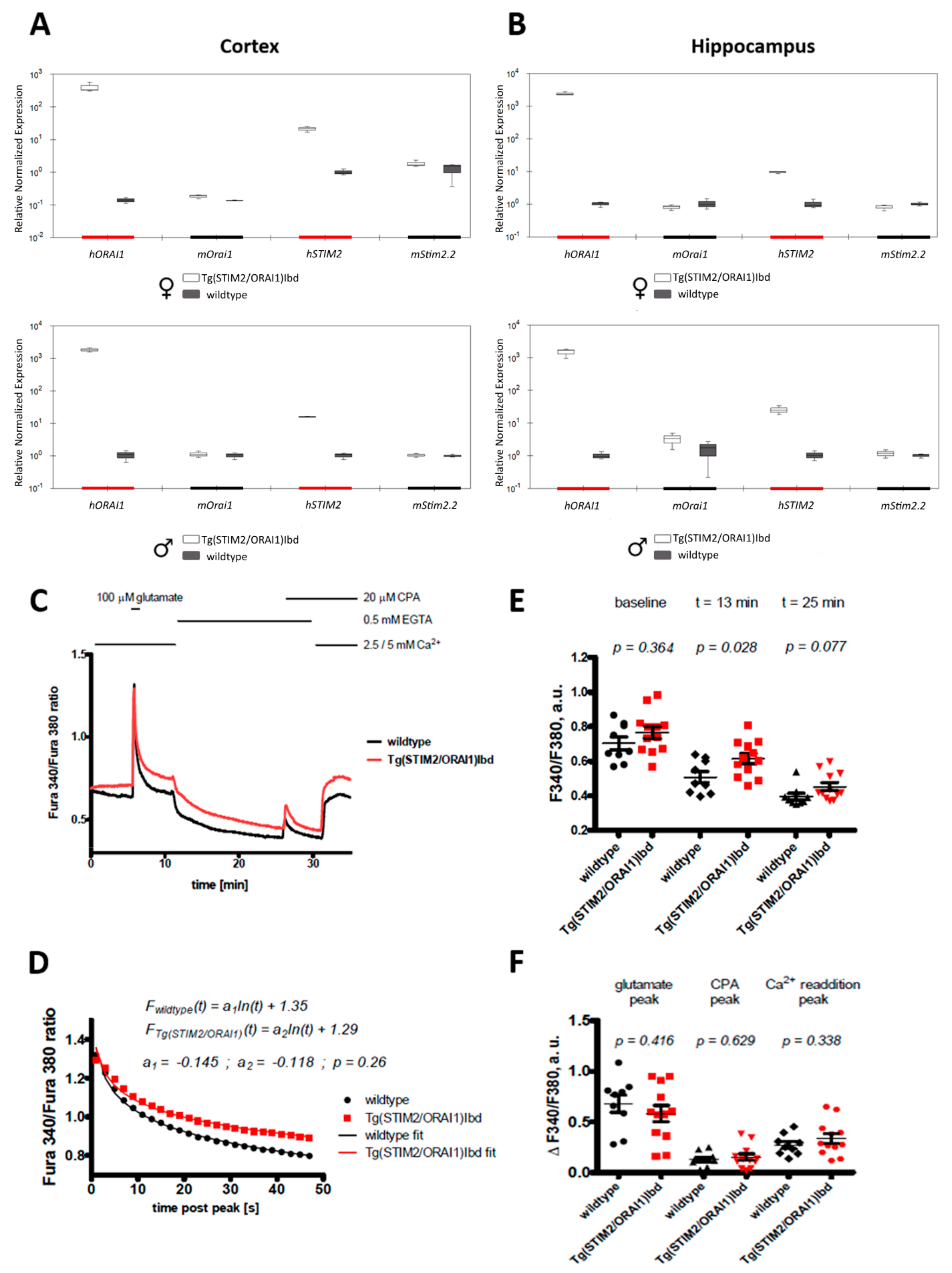Ijms 21 00842 g001 Ijms 21 00842 g001