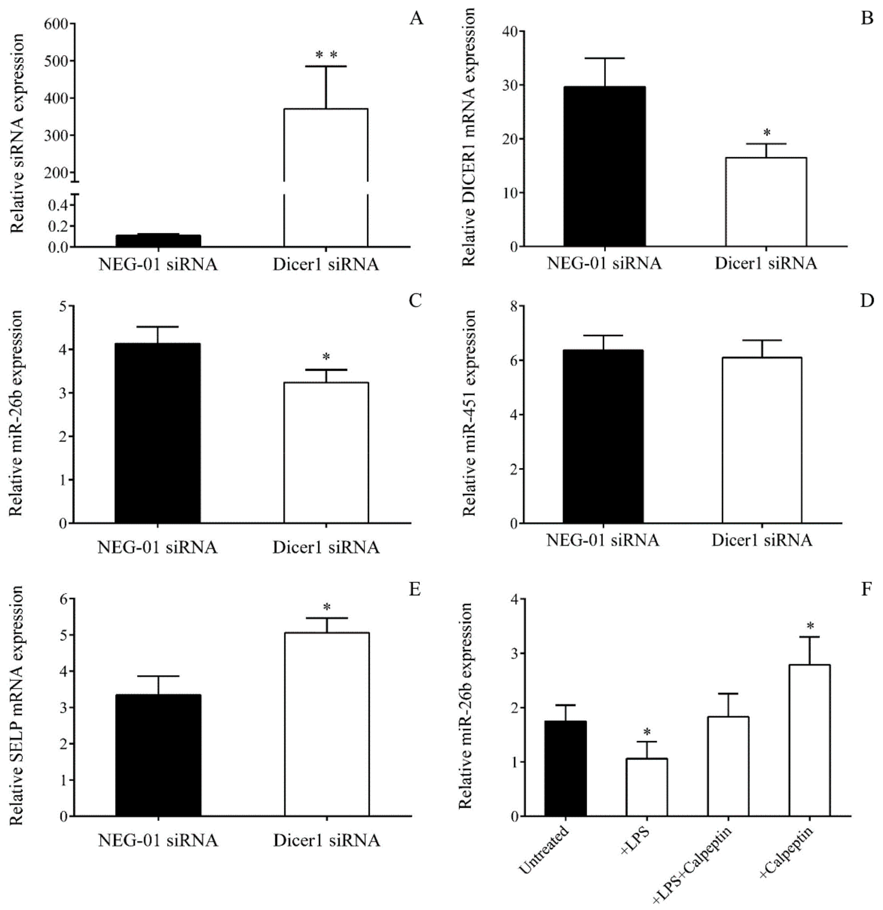 Ijms 21 00866 g007 Ijms 21 00866 g007