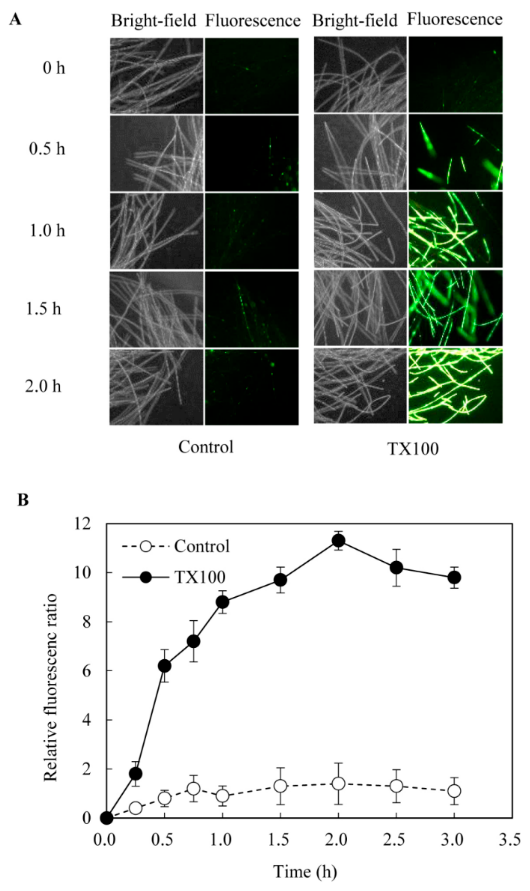Ijms 21 00882 g002 Ijms 21 00882 g002