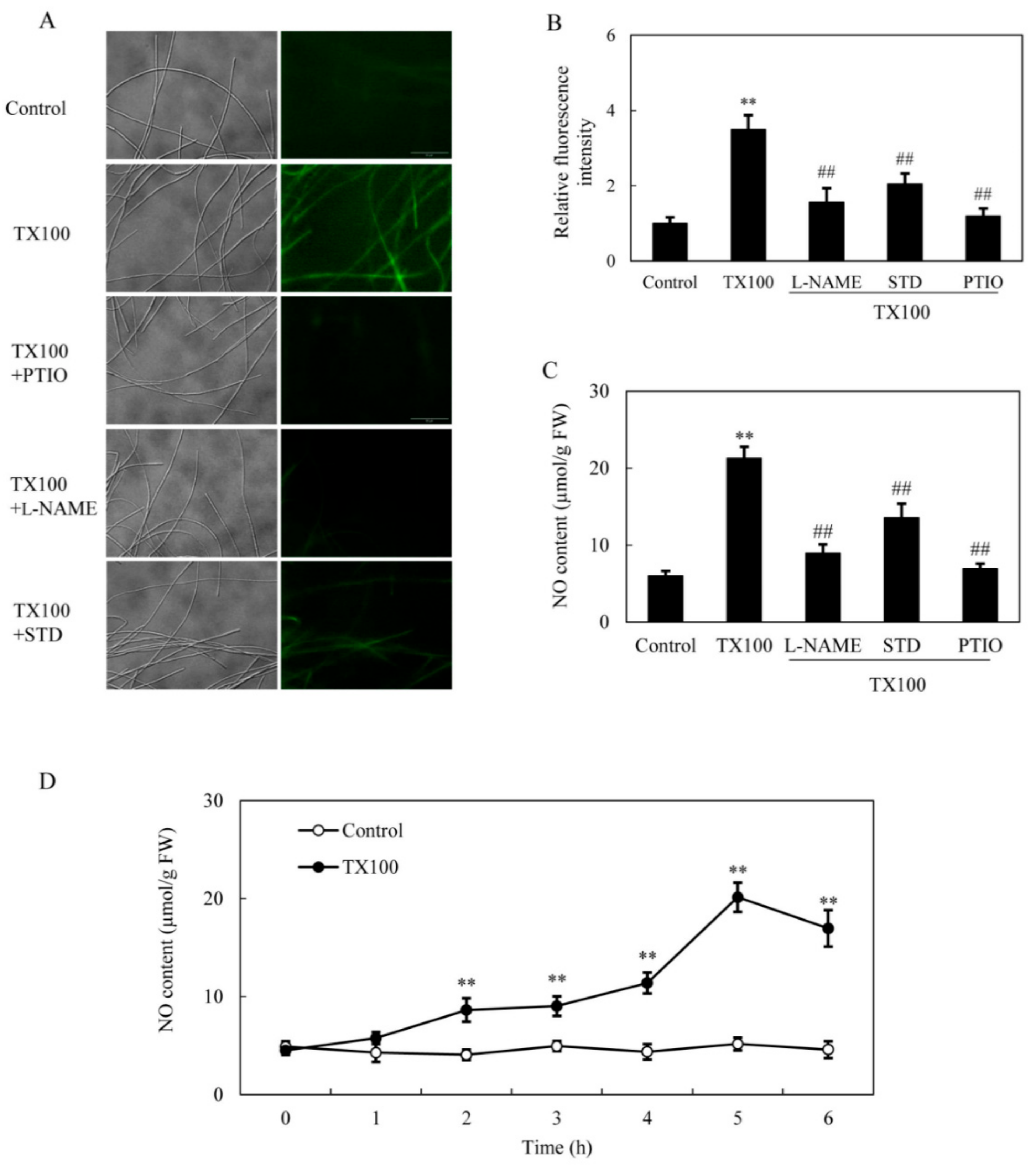 Ijms 21 00882 g003 Ijms 21 00882 g003