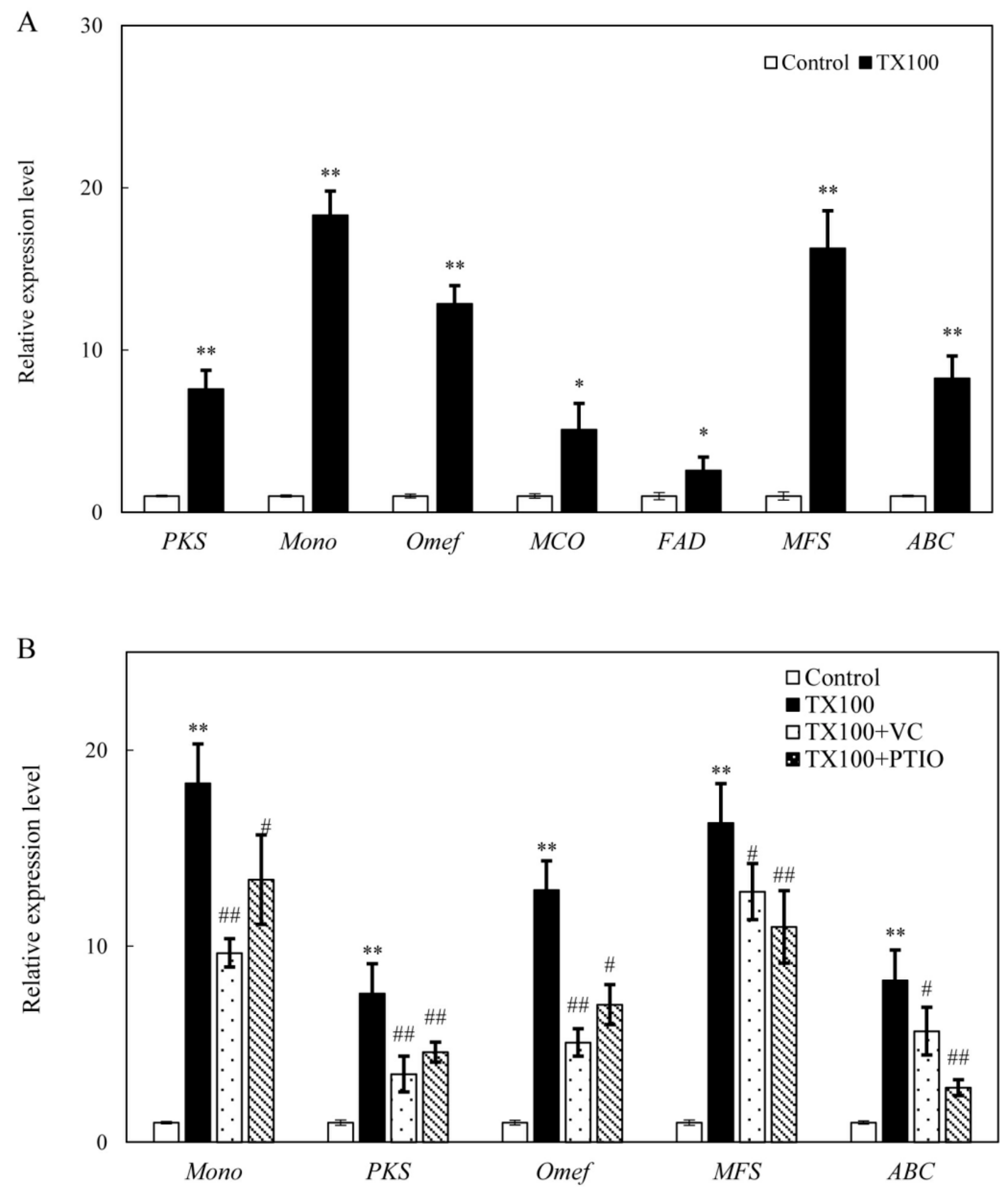 Ijms 21 00882 g007 Ijms 21 00882 g007