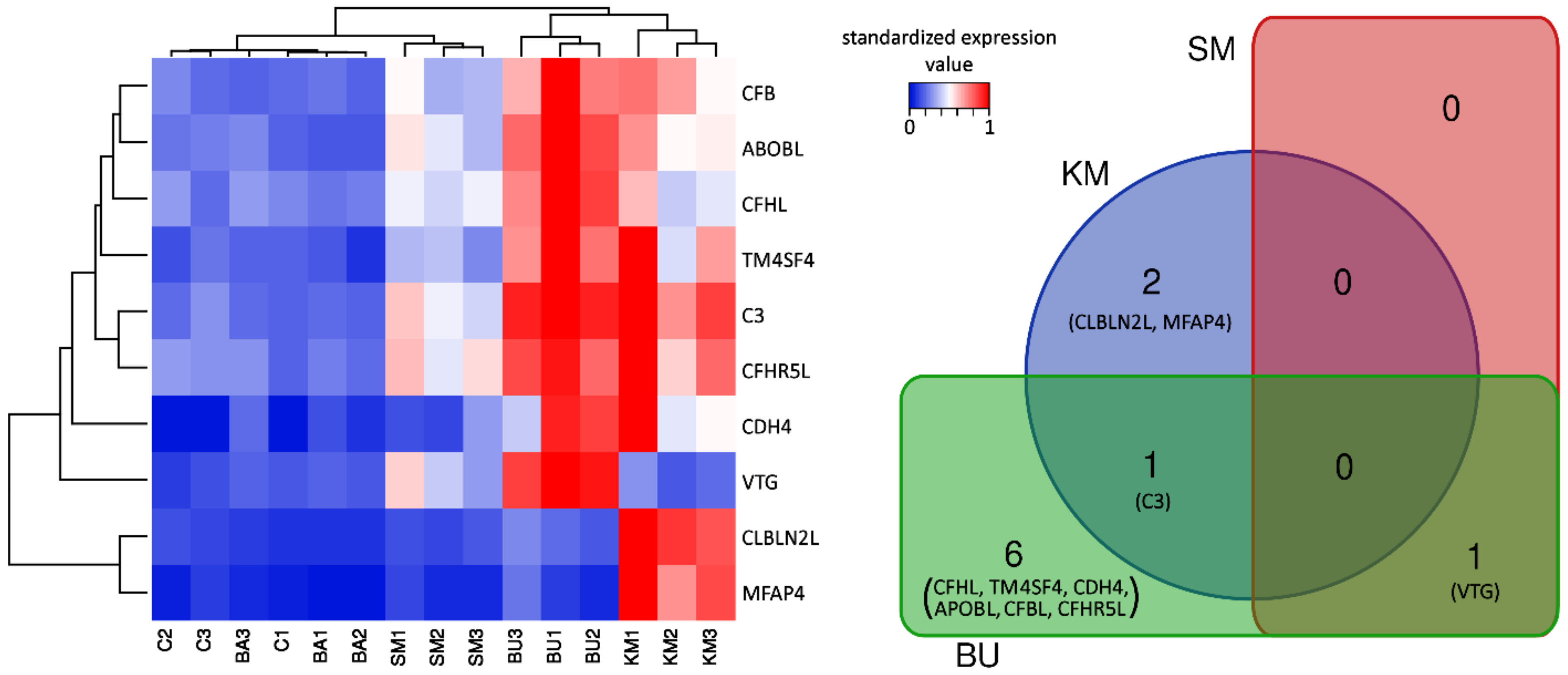 Ijms 21 00886 g001 Ijms 21 00886 g001