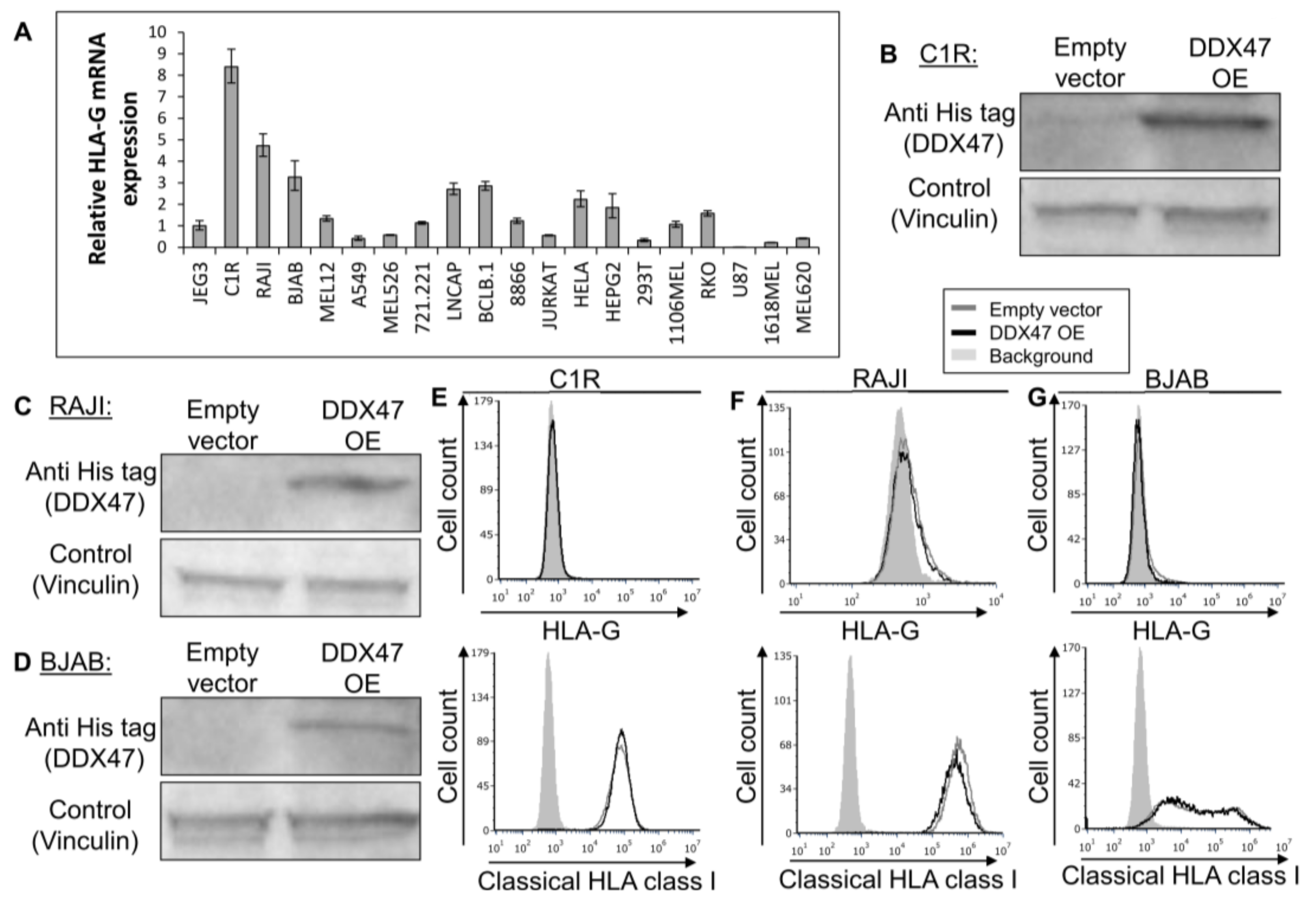 Ijms 21 00900 g003 Ijms 21 00900 g003