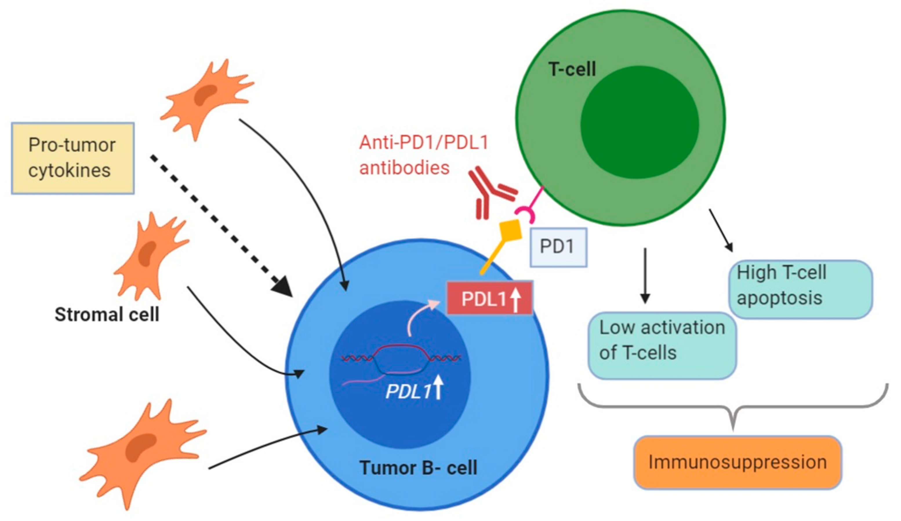 Ijms 21 00904 g003 Ijms 21 00904 g003