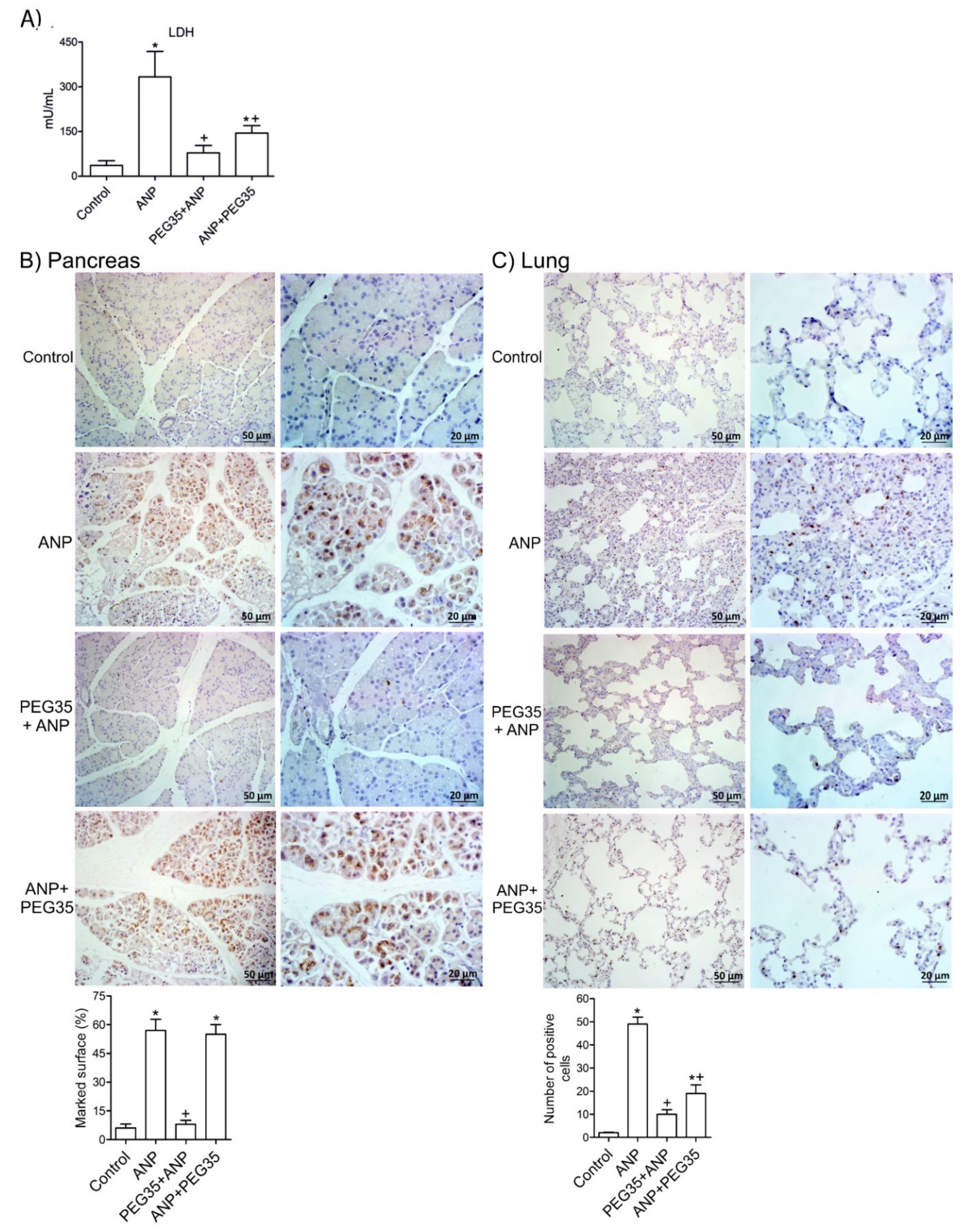 Ijms 21 00917 g006 Ijms 21 00917 g006
