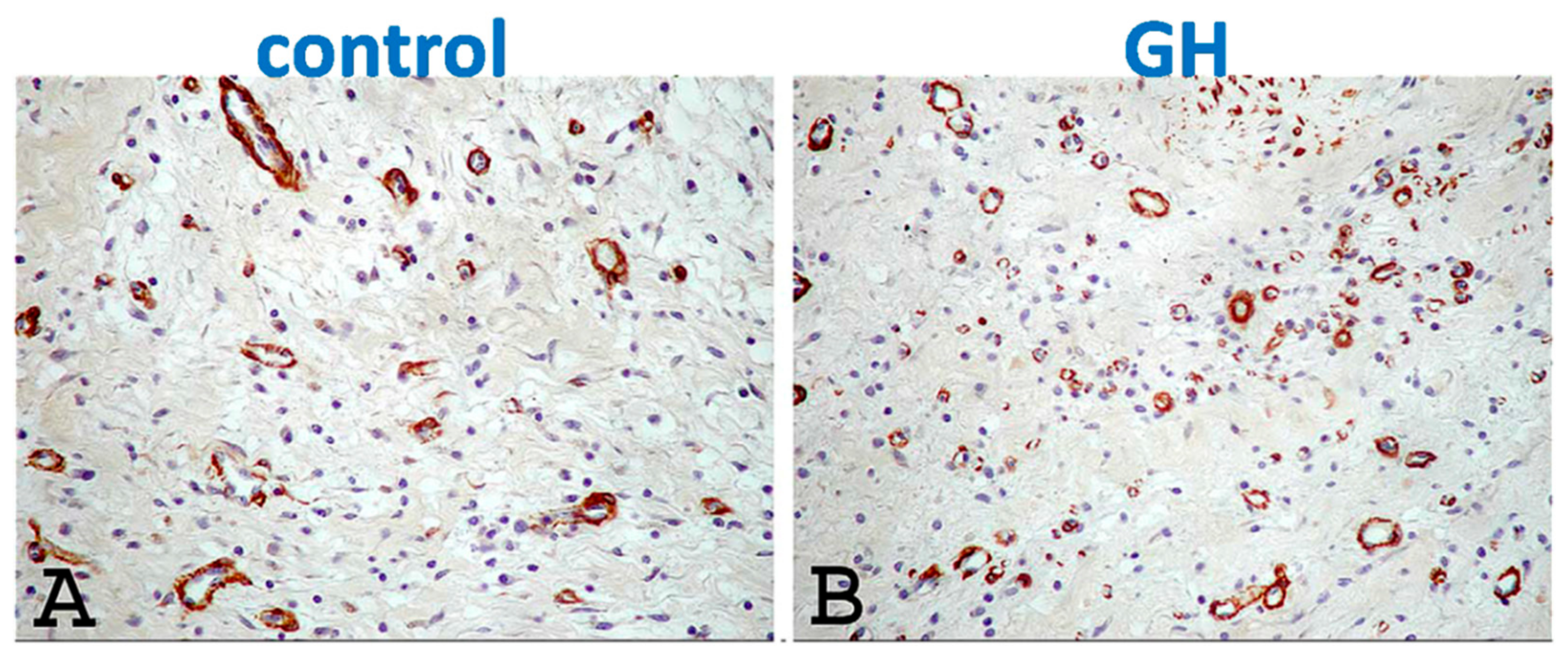 Ijms 21 00918 g005 Ijms 21 00918 g005