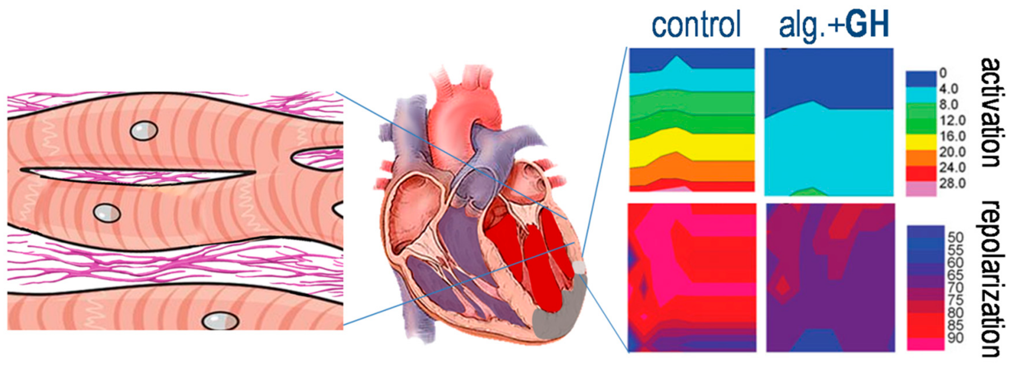 Ijms 21 00918 g006 Ijms 21 00918 g006