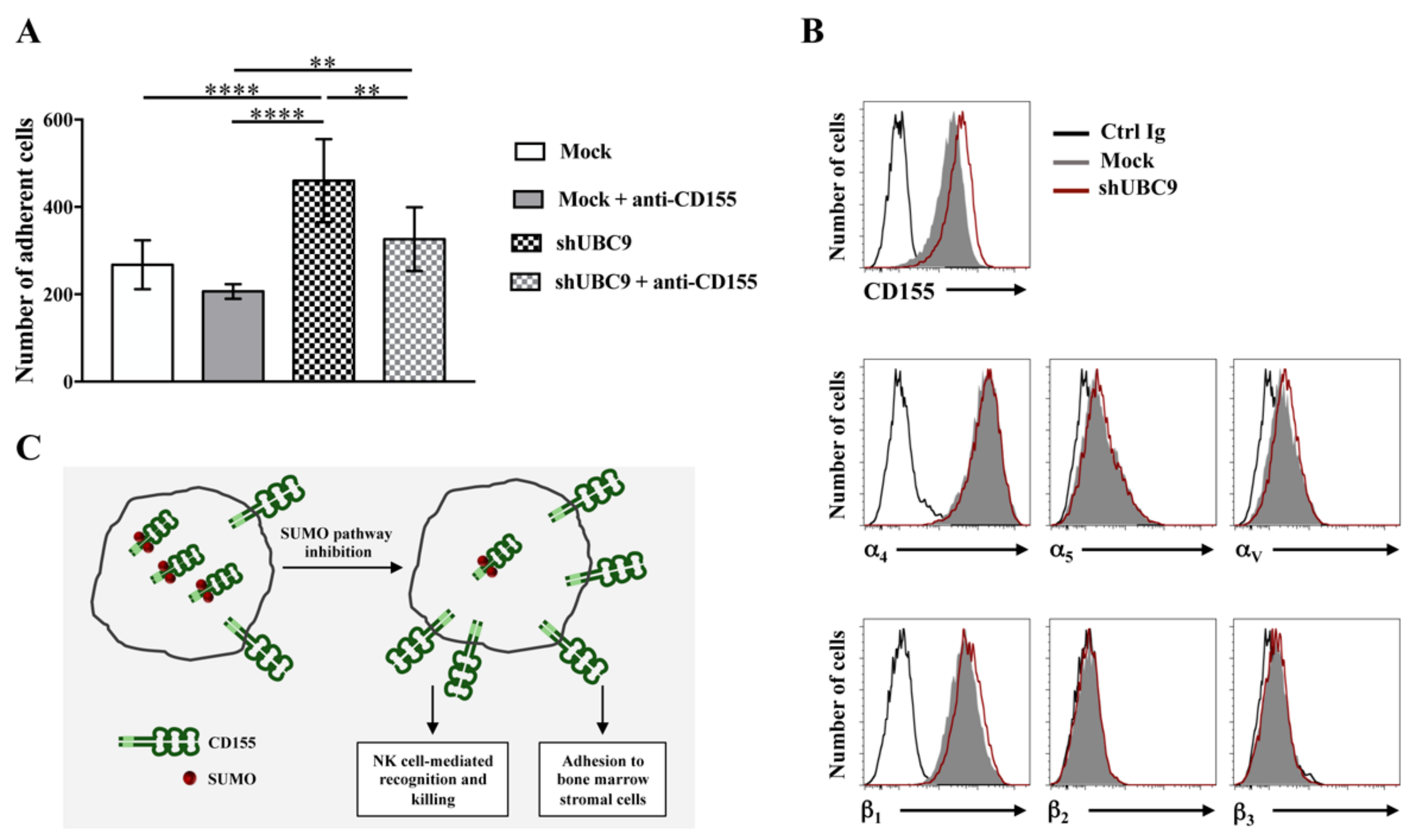 Ijms 21 00922 g003 Ijms 21 00922 g003