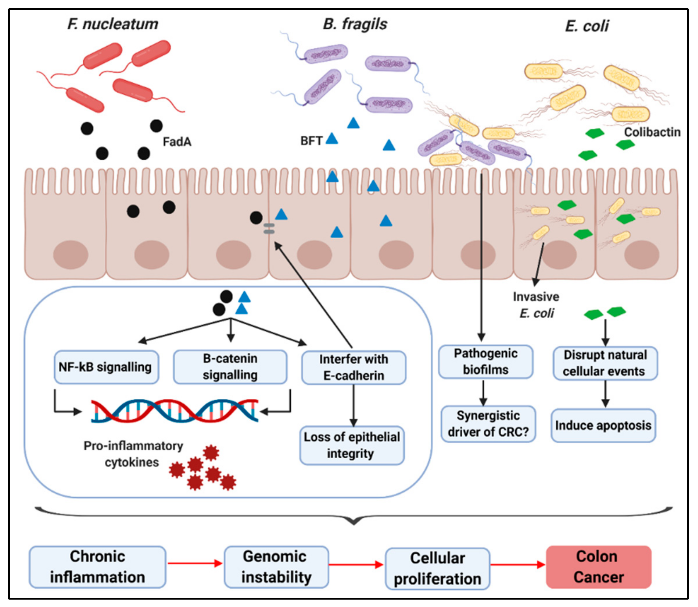 Ijms 21 00924 g001 Ijms 21 00924 g001