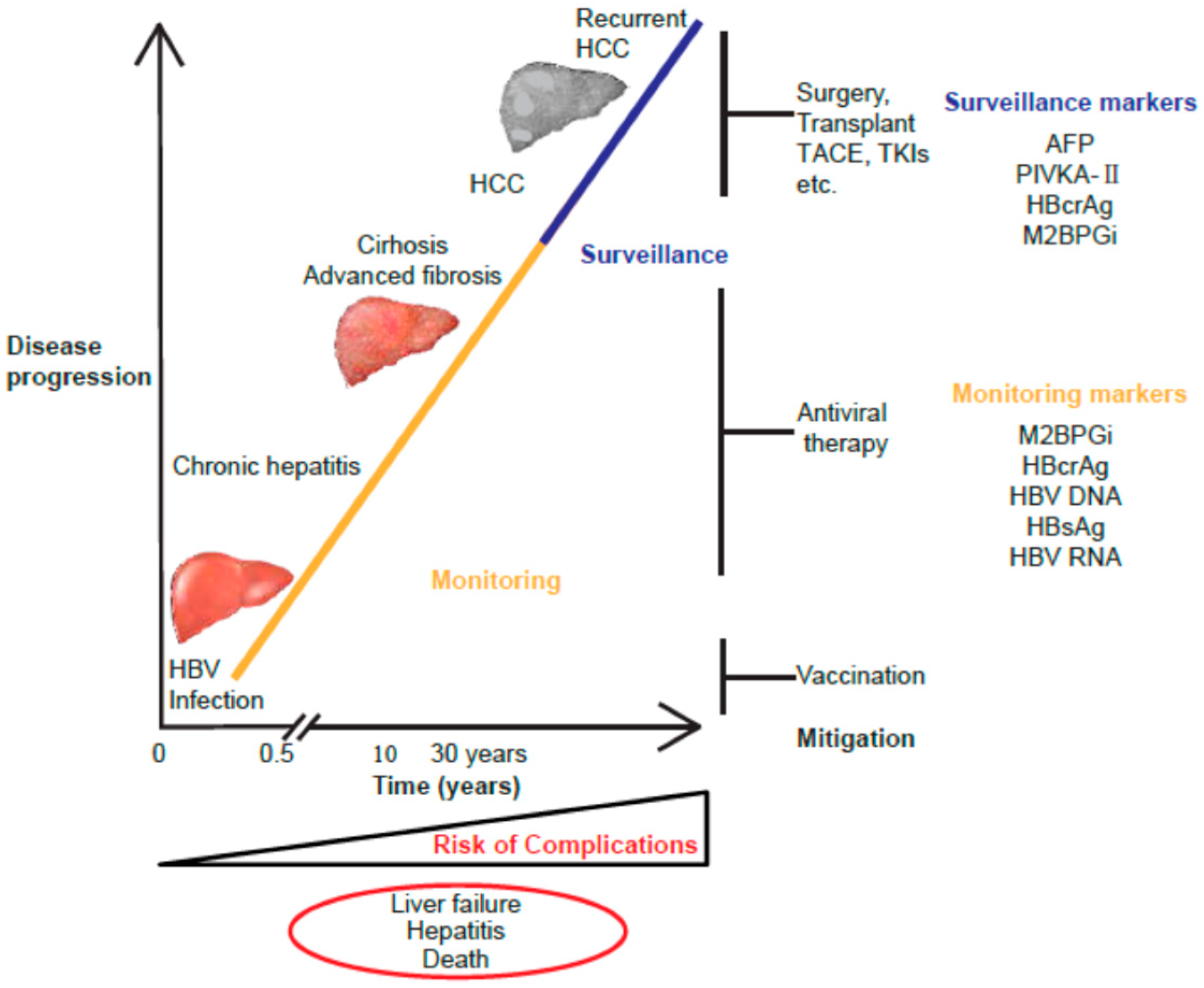 Ijms 21 00949 g001 Ijms 21 00949 g001