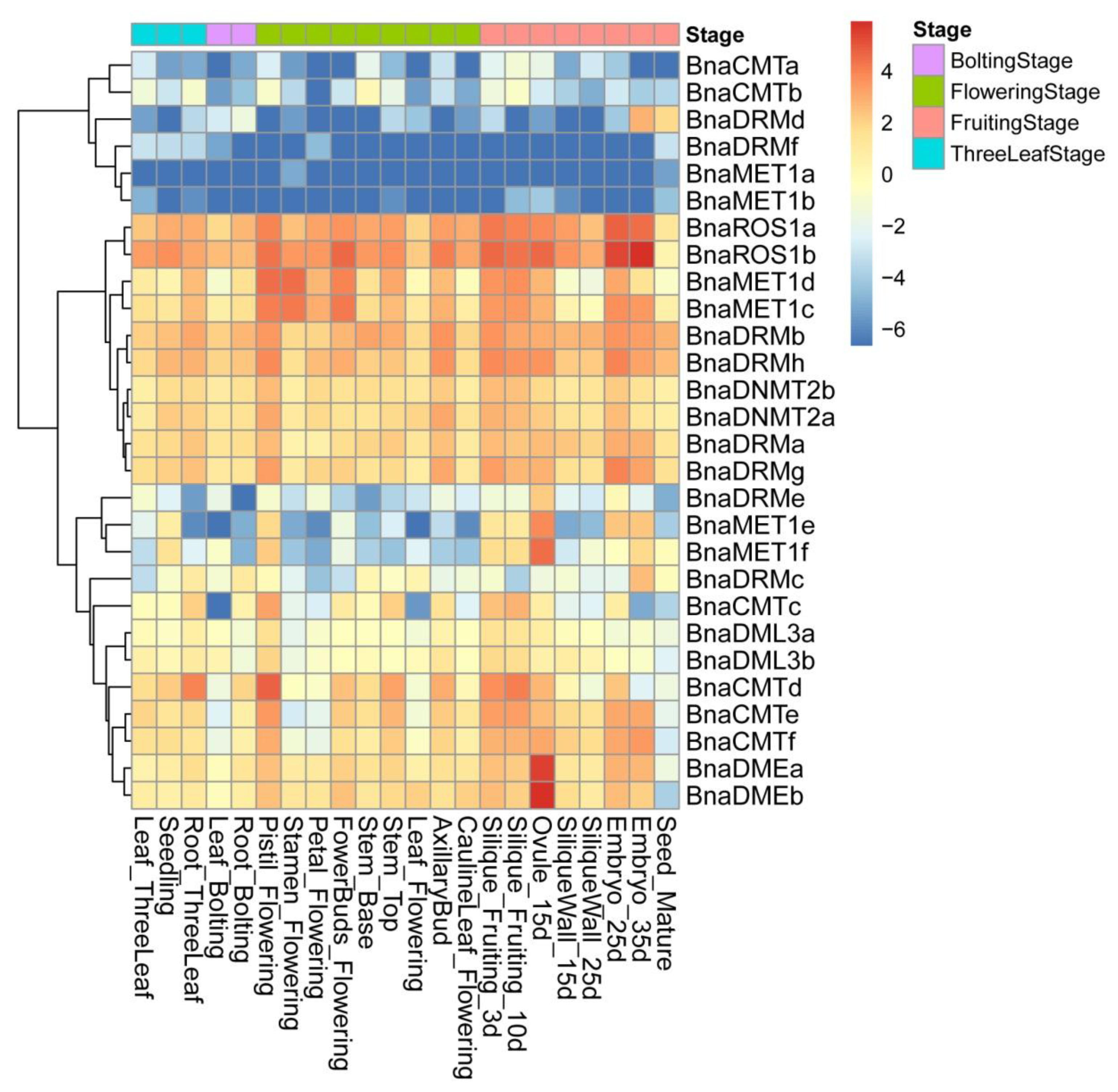 Ijms 21 00953 g004 Ijms 21 00953 g004