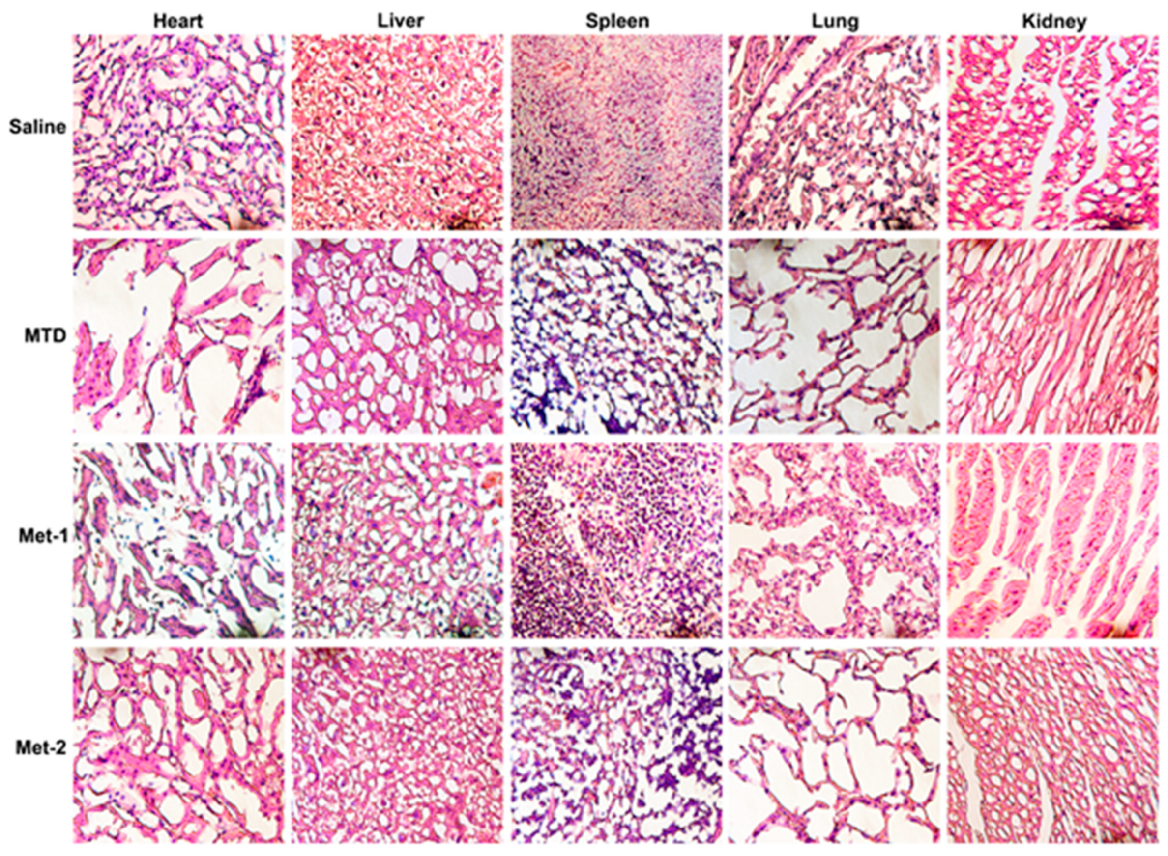 Ijms 21 00957 g002 Ijms 21 00957 g002