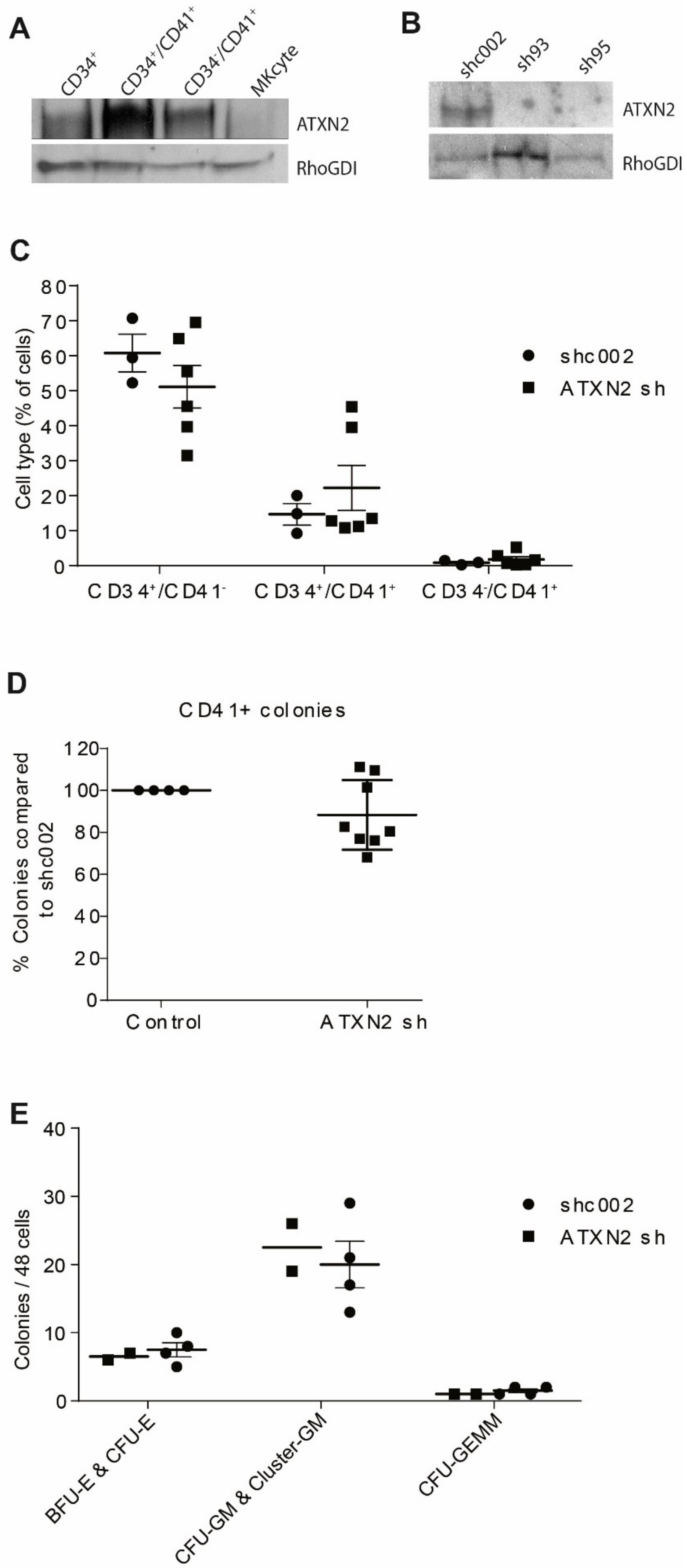 Ijms 21 00967 g001 Ijms 21 00967 g001