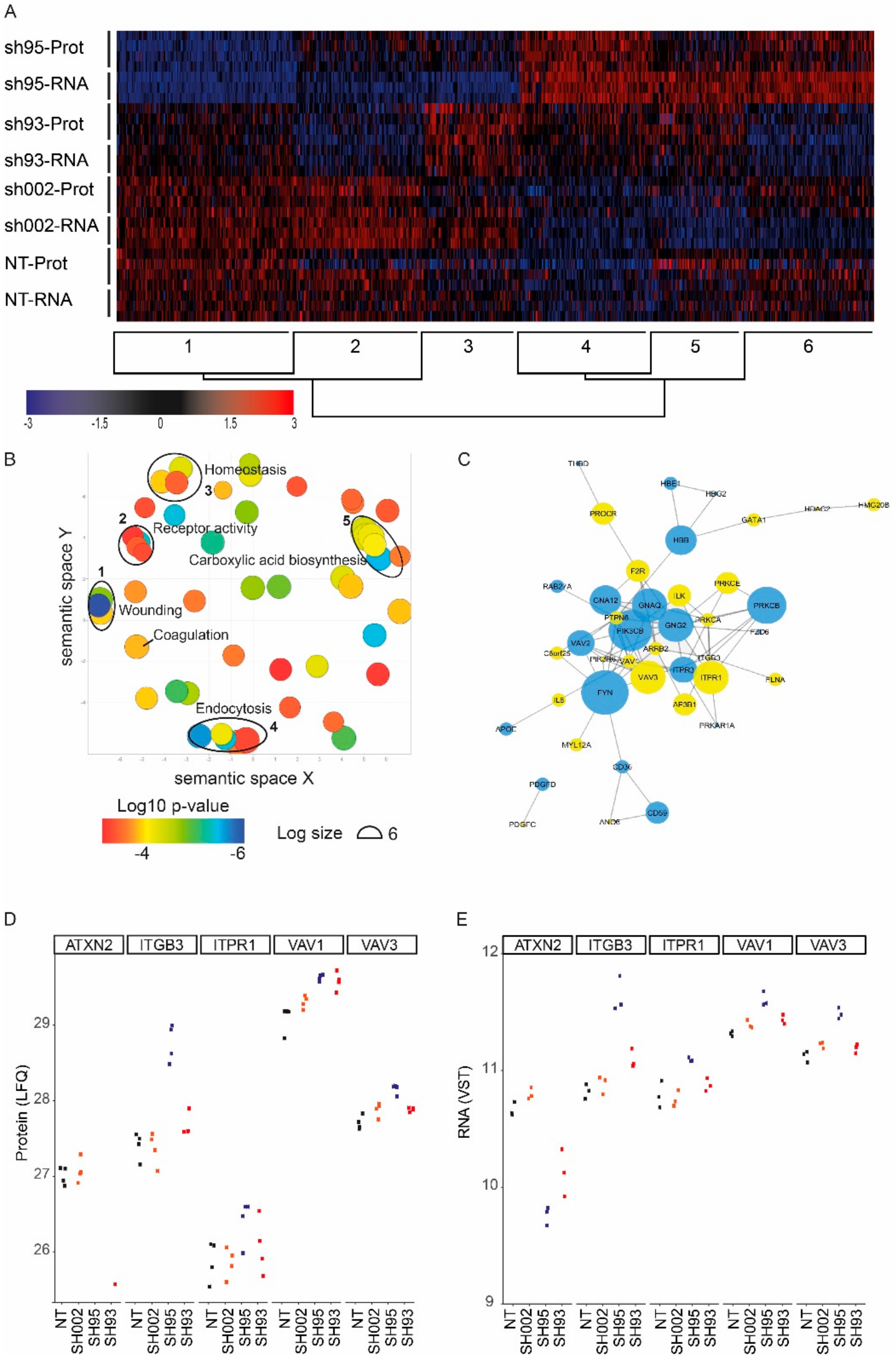 Ijms 21 00967 g004 Ijms 21 00967 g004