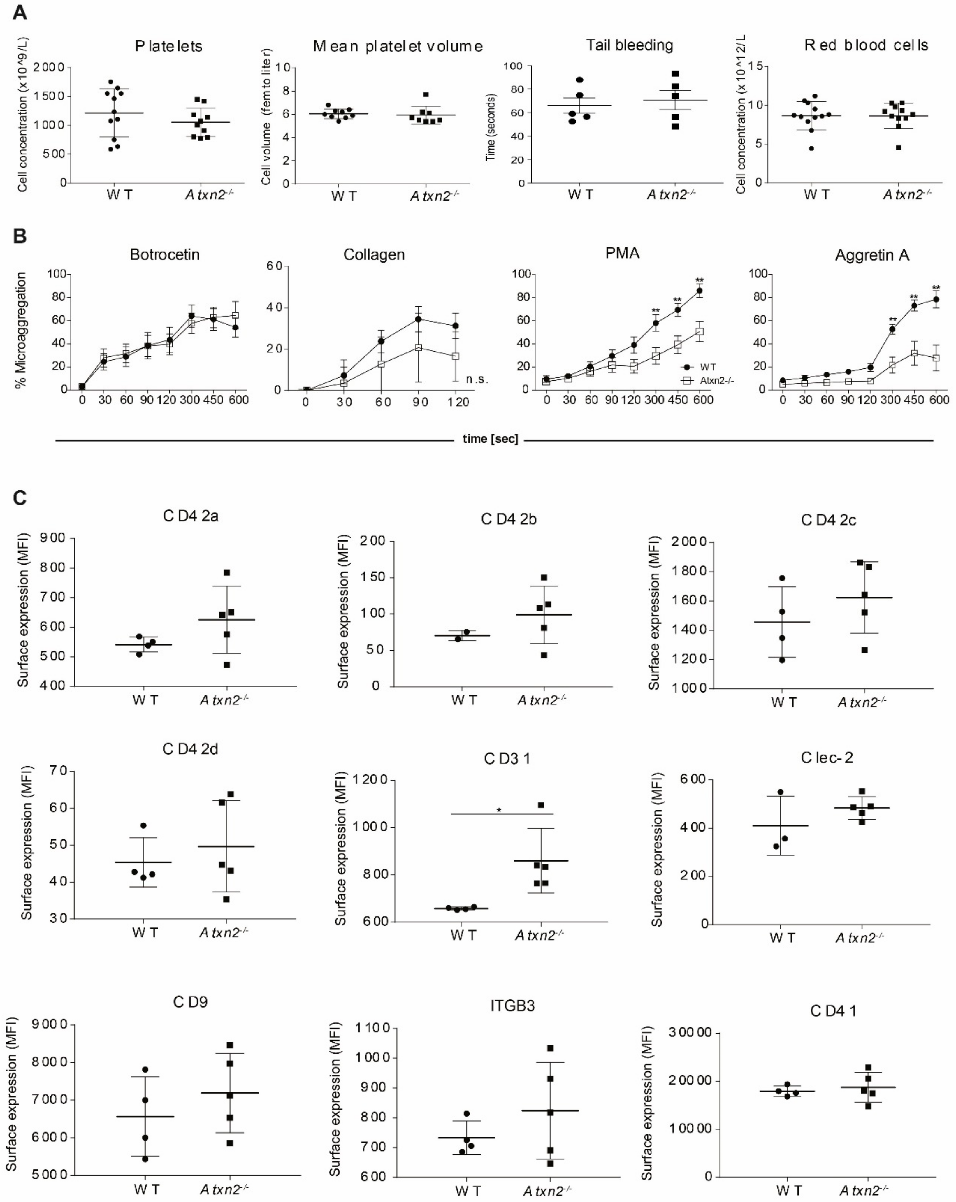 Ijms 21 00967 g006 Ijms 21 00967 g006