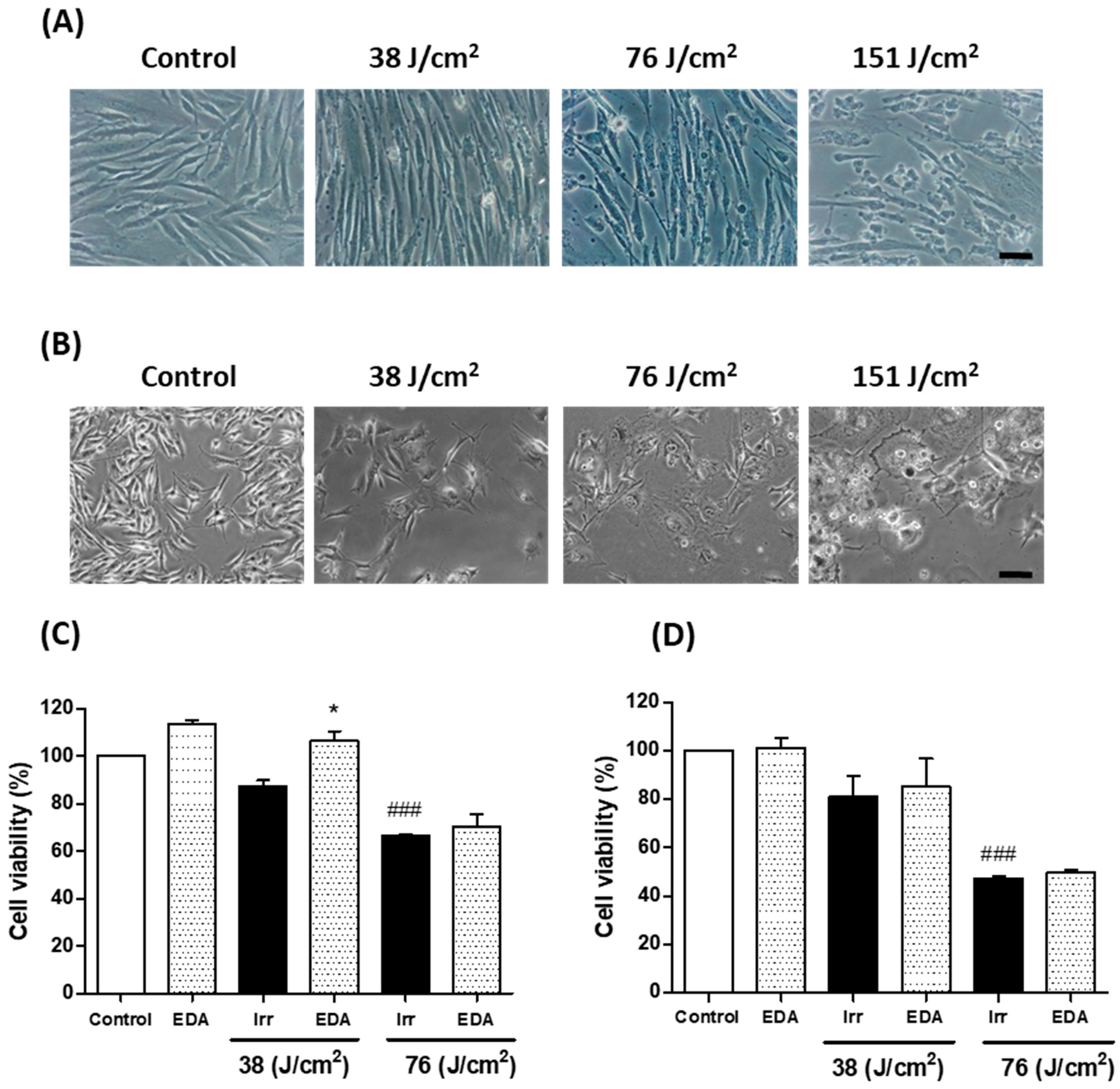 Ijms 21 00988 g001 Ijms 21 00988 g001