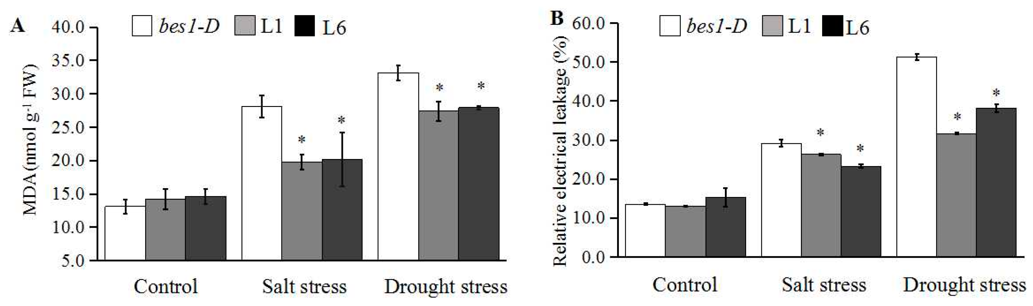 Ijms 21 00996 g005 Ijms 21 00996 g005